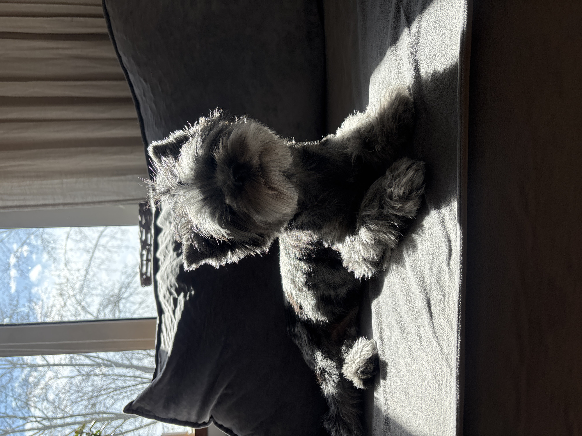 Casual domestic photos captured early morning in Chaikovsky, Russia