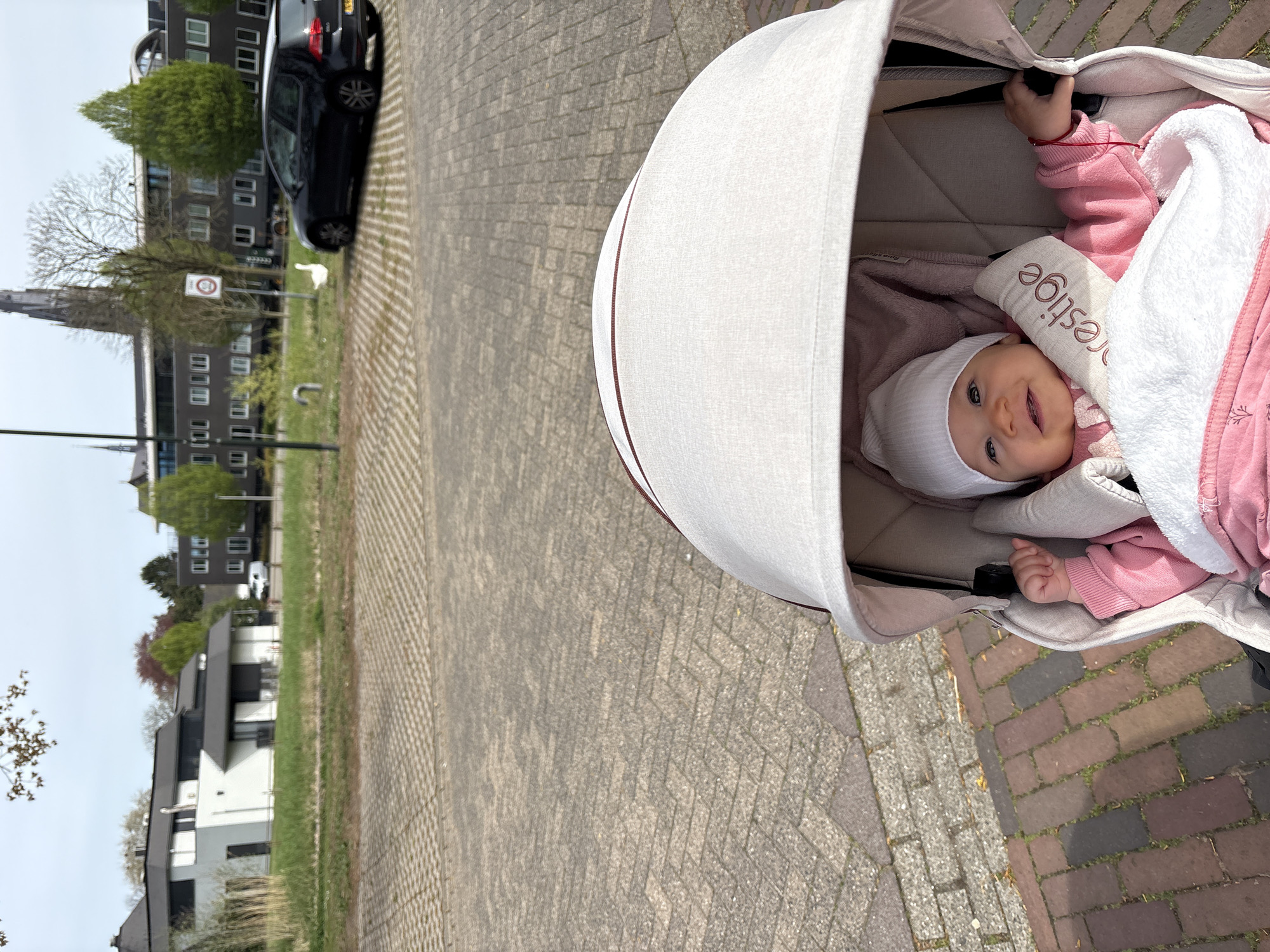 Baby in carriage, white goose spotted in Veghel neighborhood