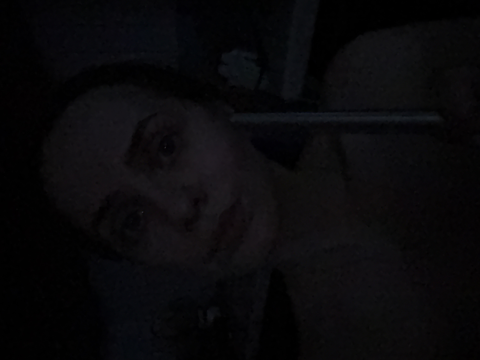 Person takes selfie in Perm with mysterious object visible