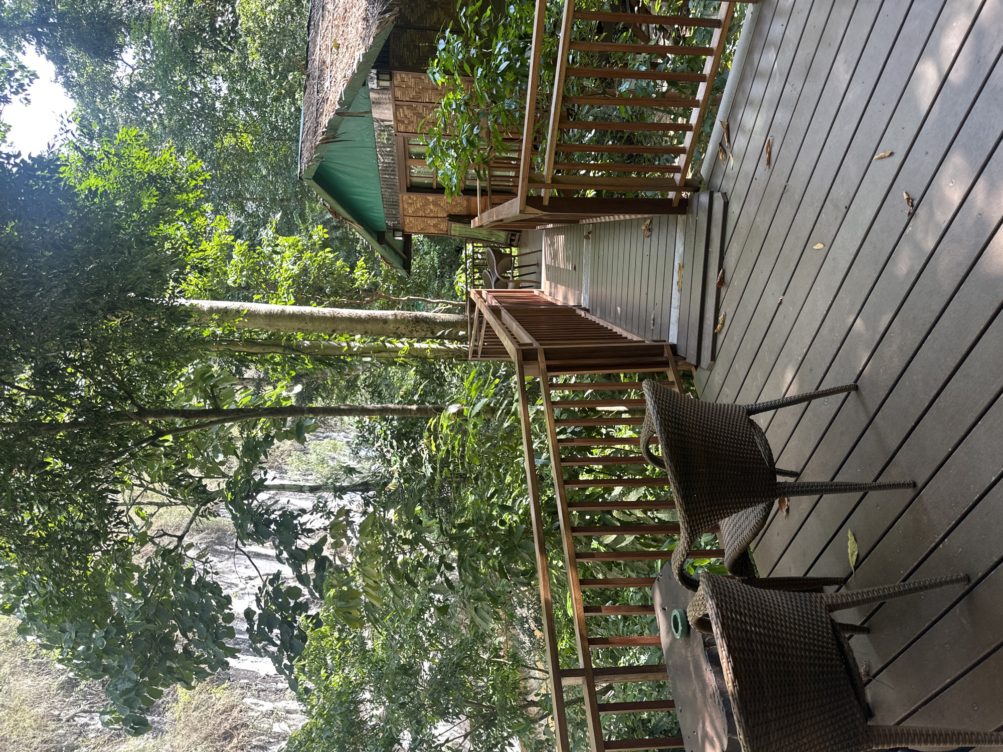 Tourist captures scenic Khlong Sok rainforest and limestone formations