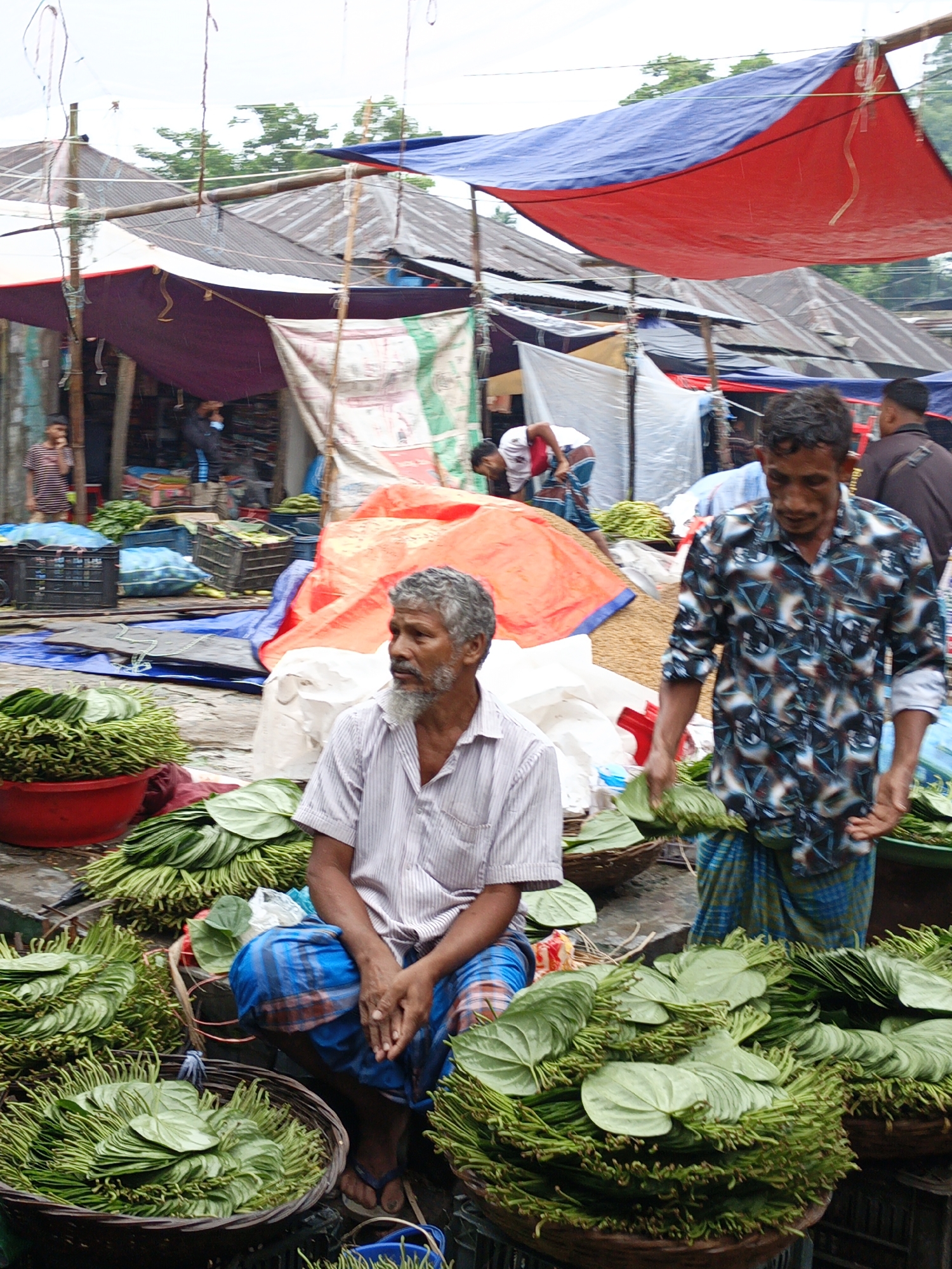 Rainy morning livestock market draws crowds in rural Asia