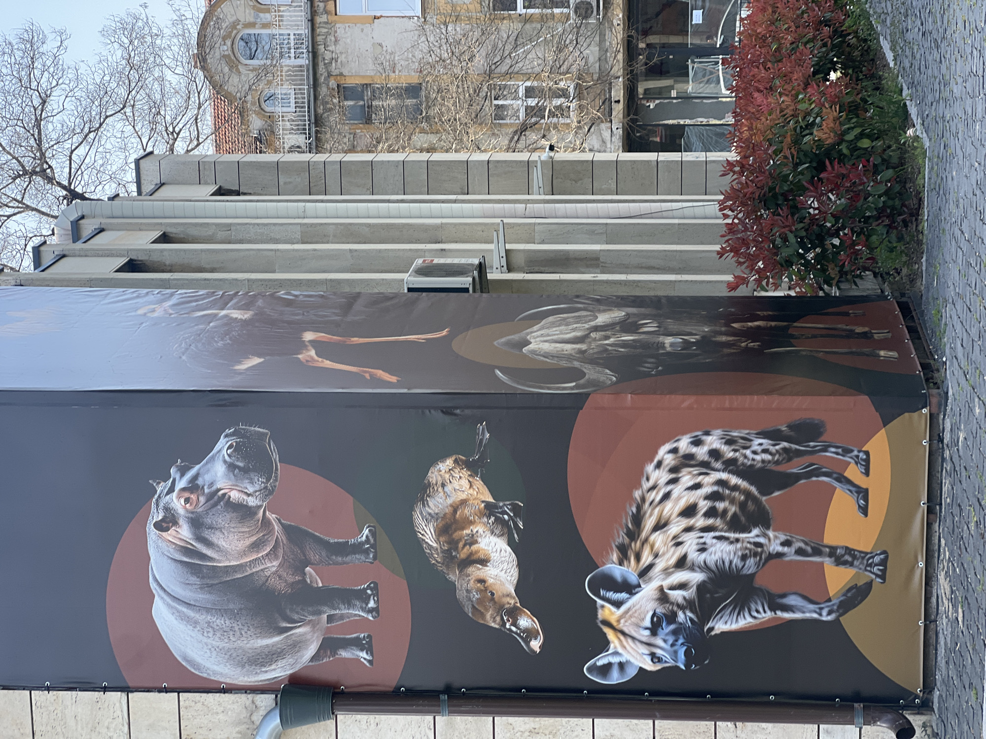Casual afternoon documentation of Plovdiv city scenes and fountain