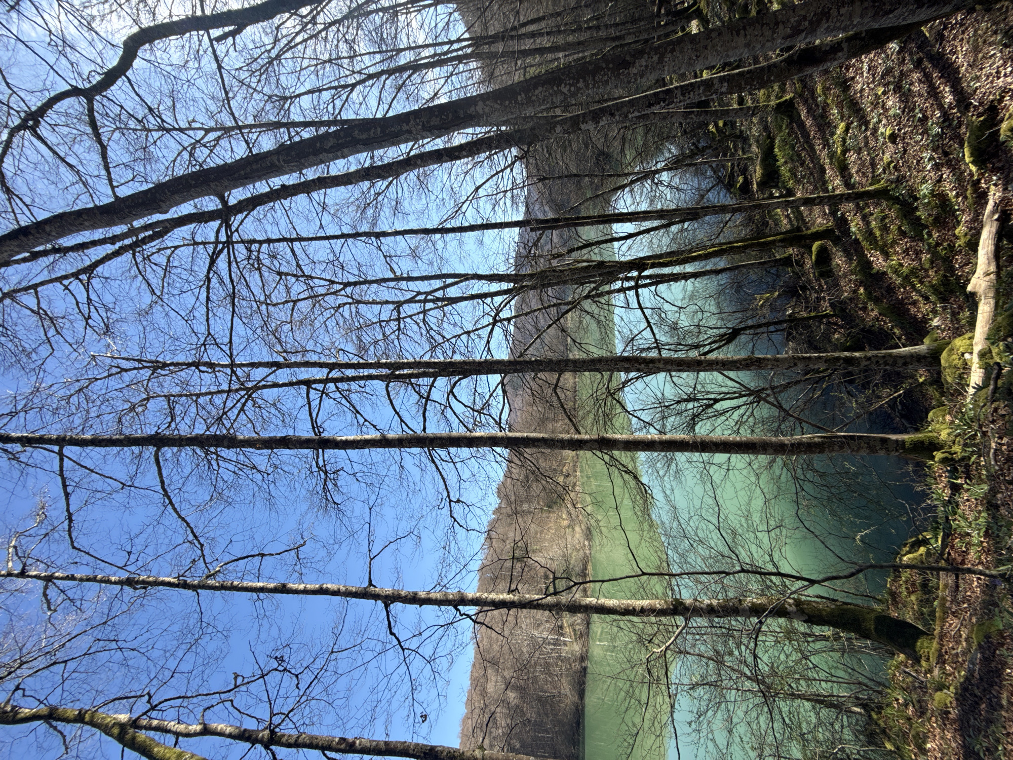 Turquoise river flows through forest near Orbaizeta, Spain