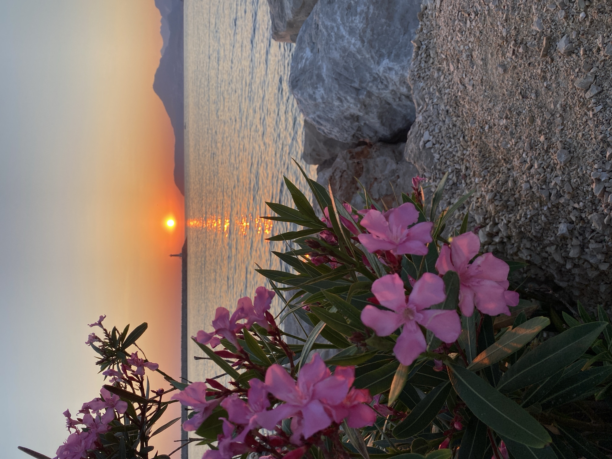 Sunset evening along the Bar, Montenegro waterfront