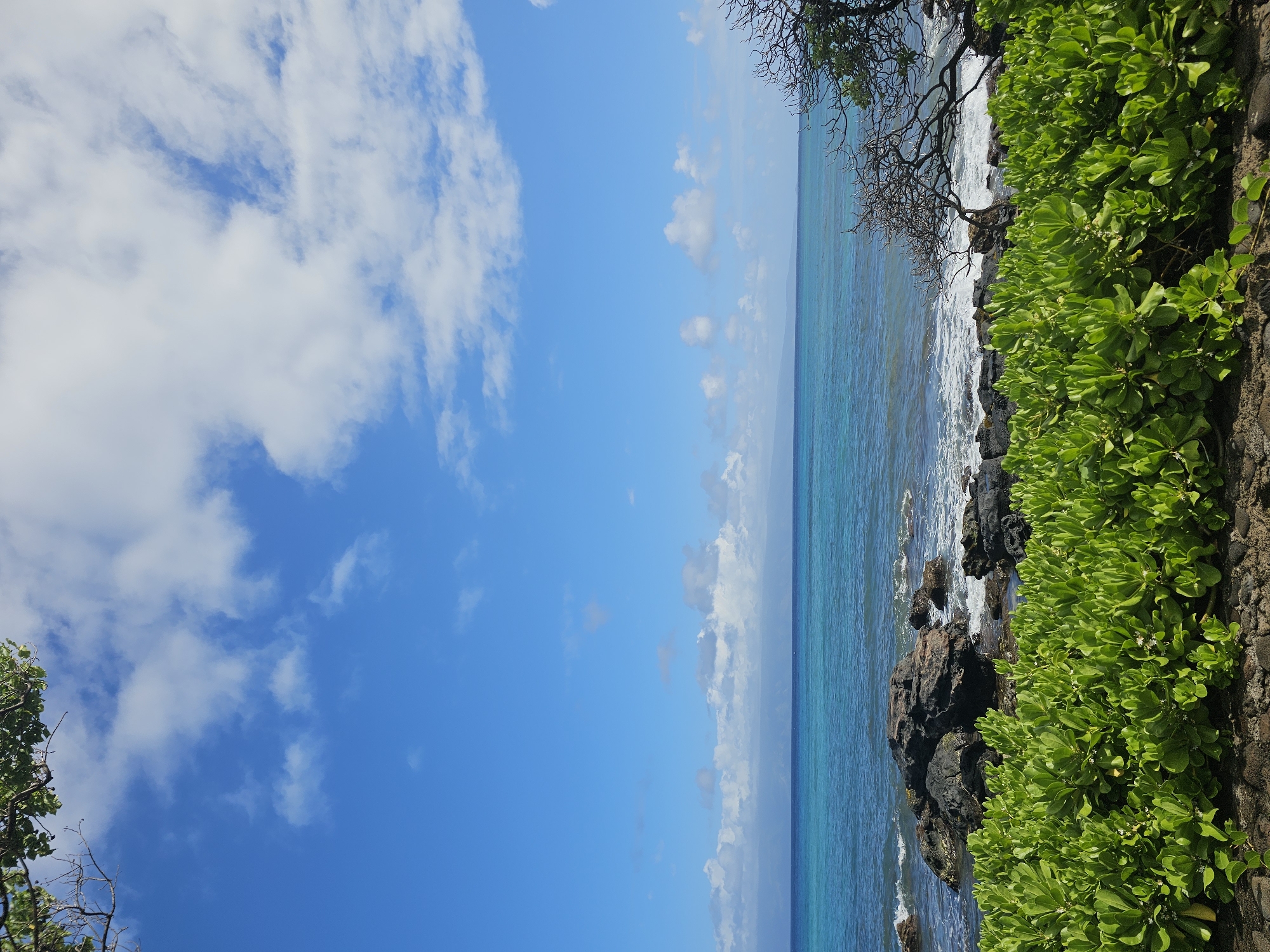 Coastal views and a garden Buddha in Napili, Hawaii
