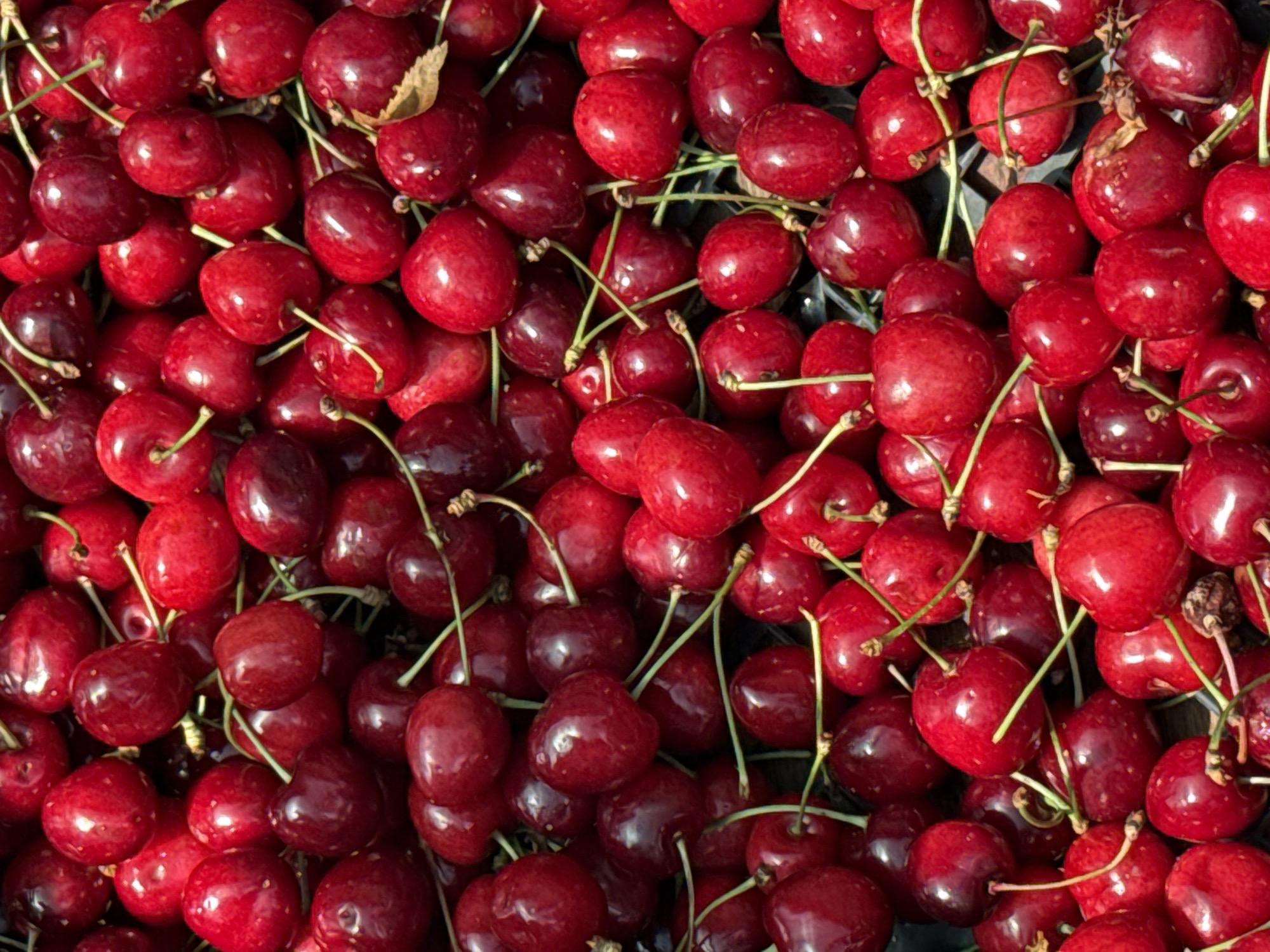 Woman documents fruit market visit and personal moments