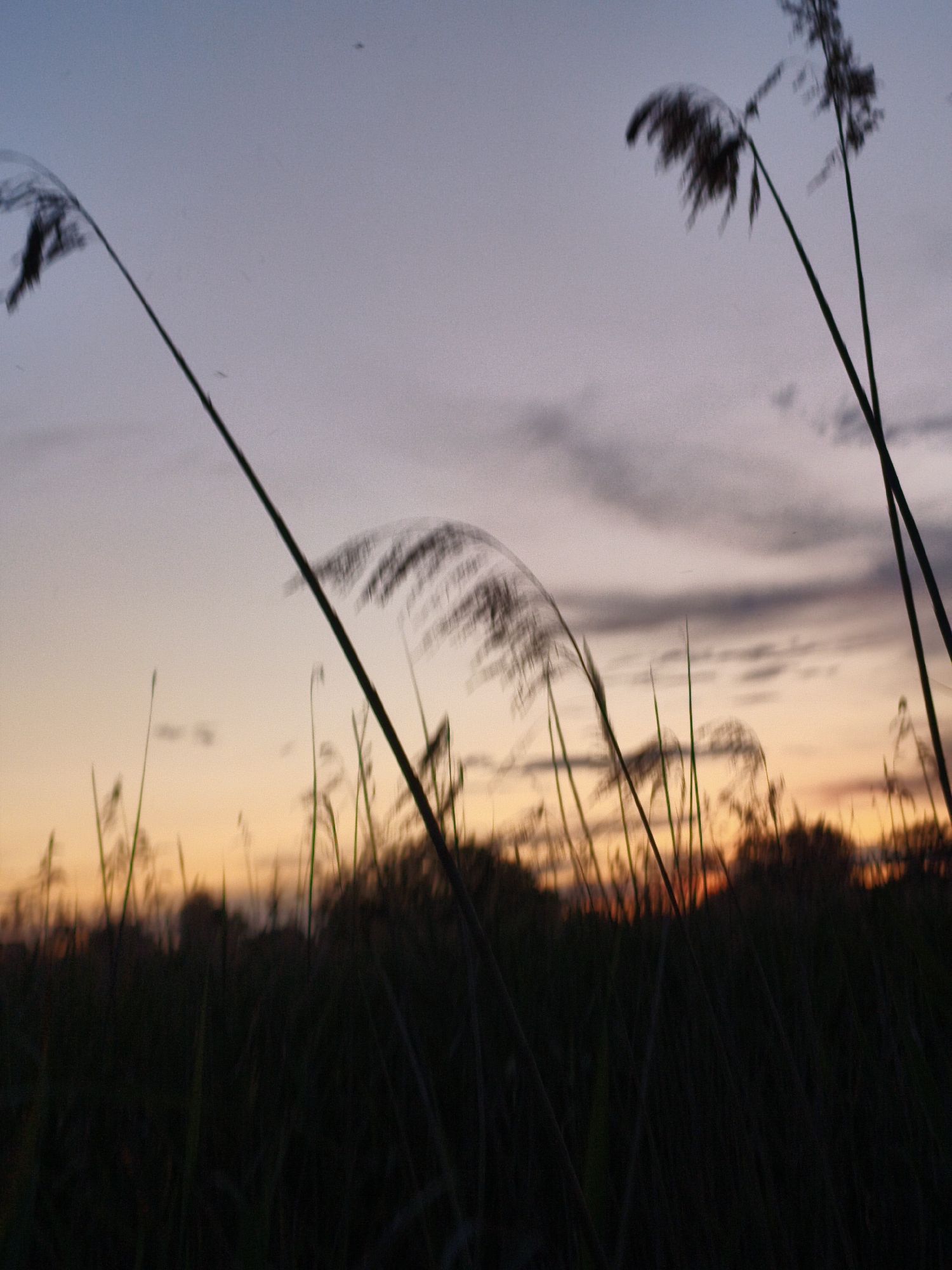 Evening twilight documented across rural Ustyvytsia, Ukraine countryside