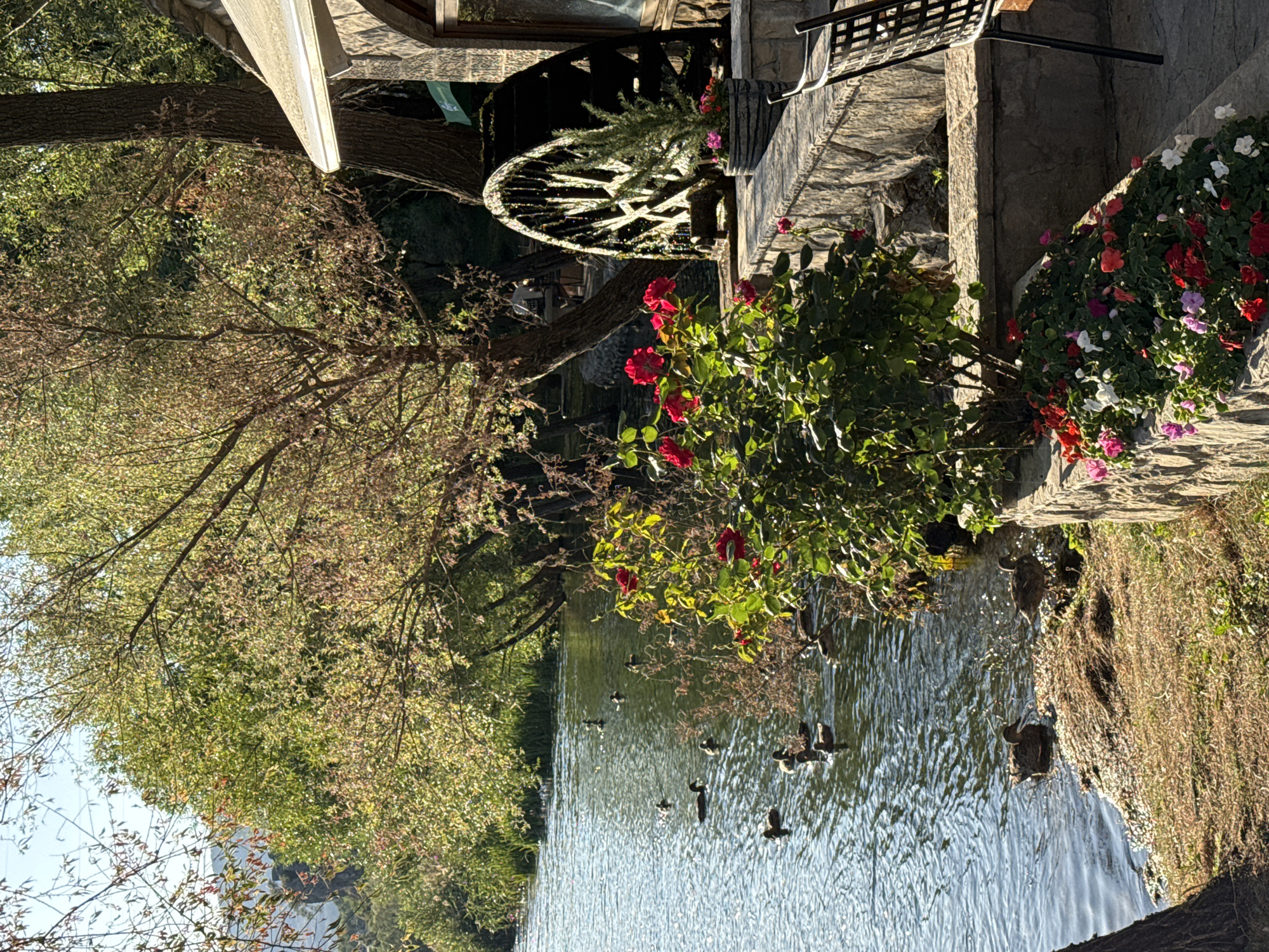 The Quiet Appeal of Historic Mill Dining