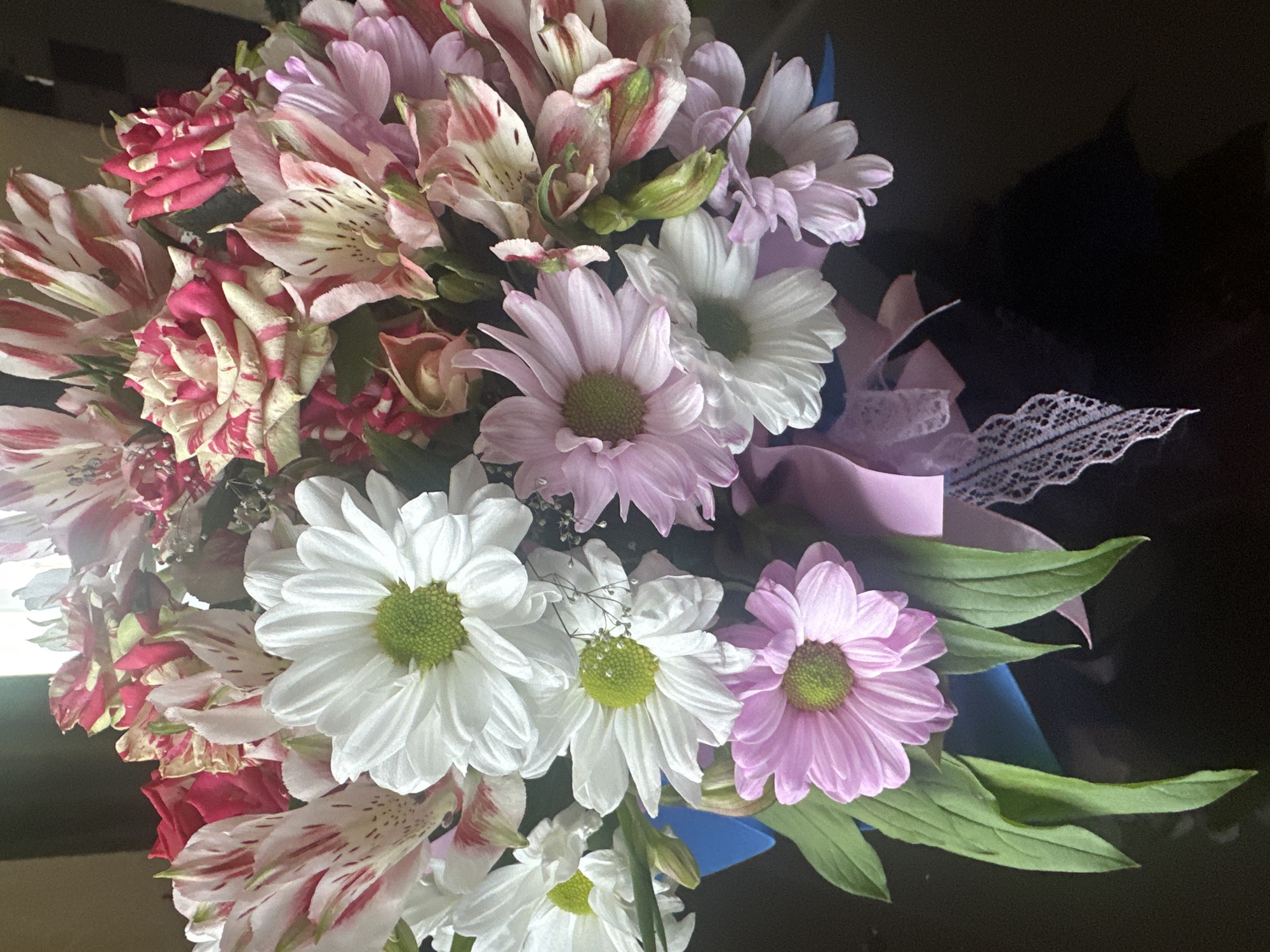 Flowers and a resting dog on a Lipetsk morning