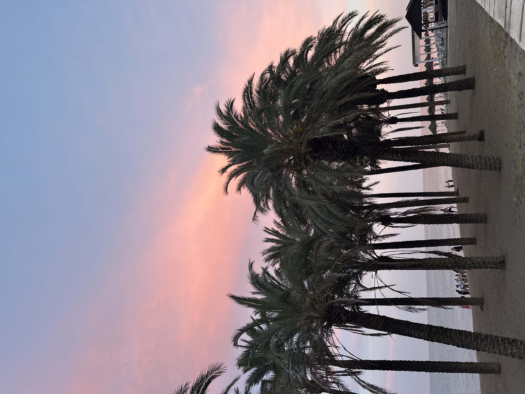 Dusk settles over a Torremolinos beach, cat included