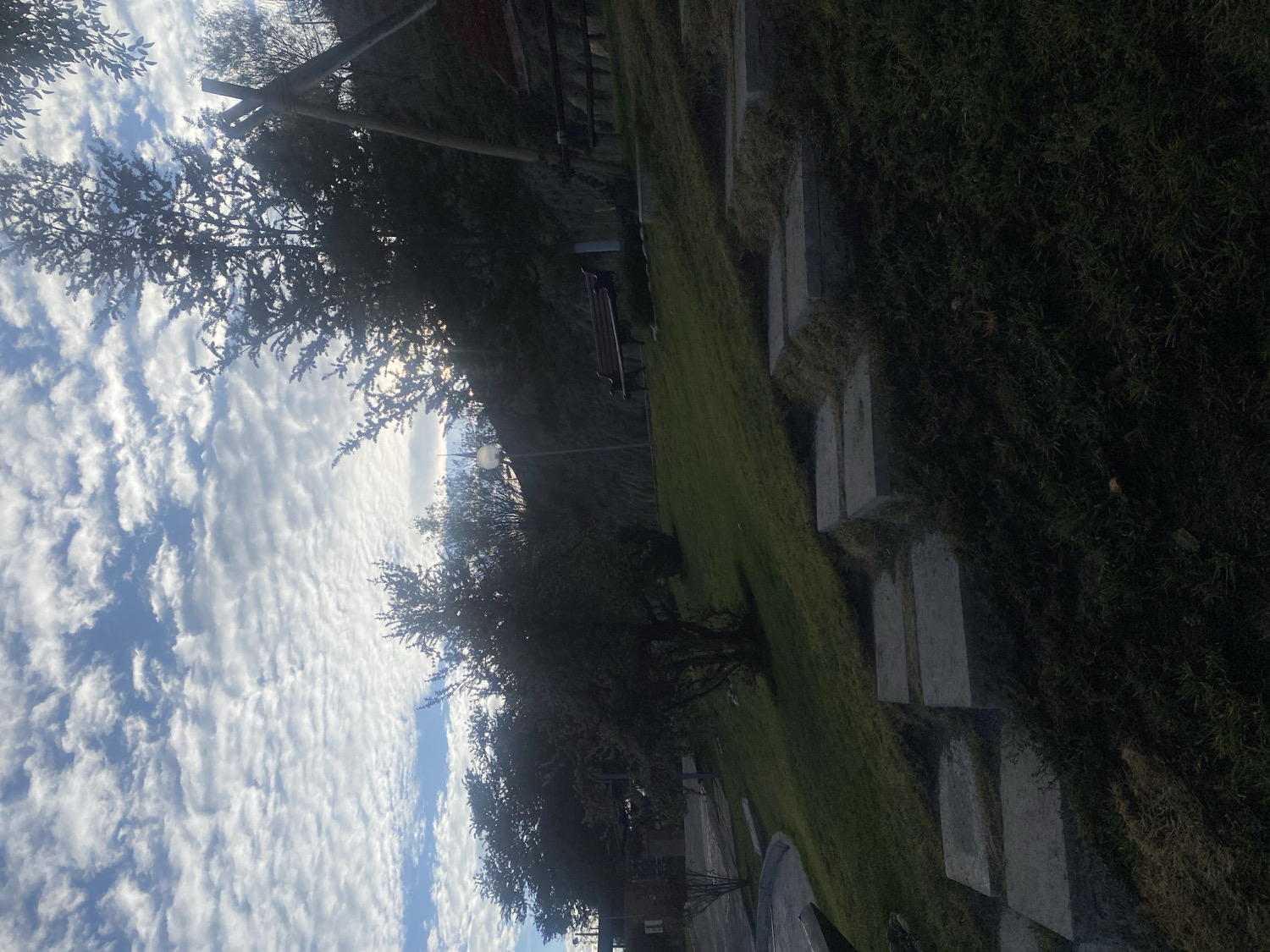 Spring day captured at Achocalla park in Bolivia