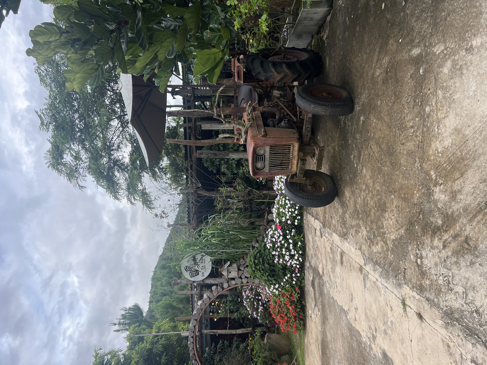 Morning at a rustic coffee farm in Vietnam's Central Highlands