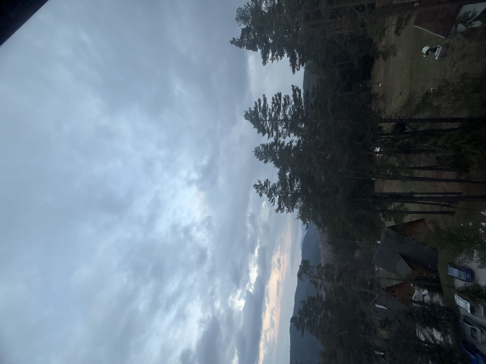 Cloudy landscape with evergreen trees documented by witness