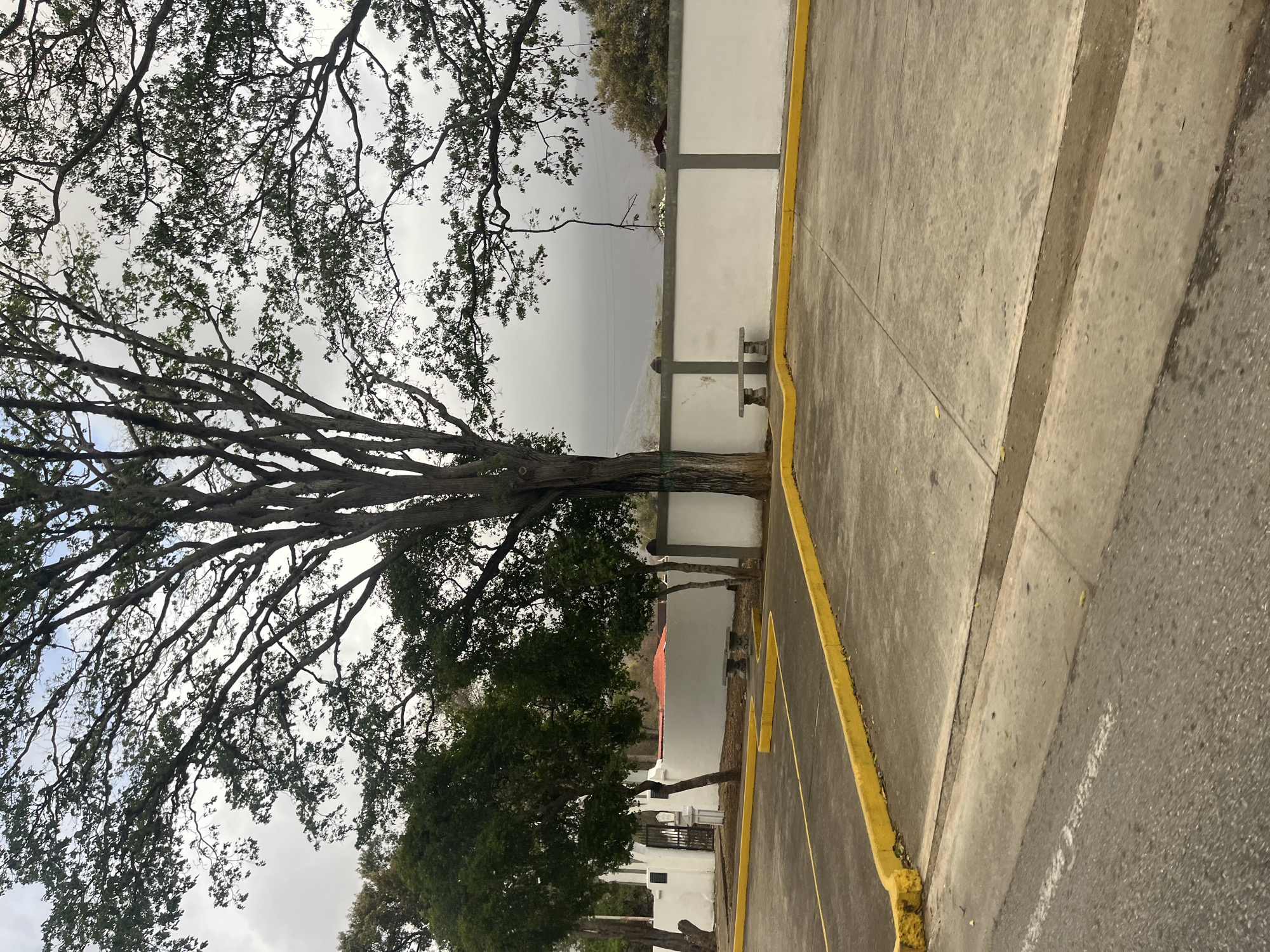 Evening motorcycle ride documented through Tacarigua streets
