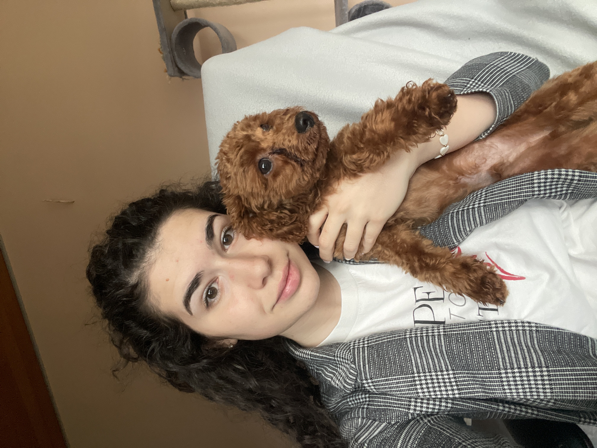 Woman plays with poodle in early morning Sofia apartment