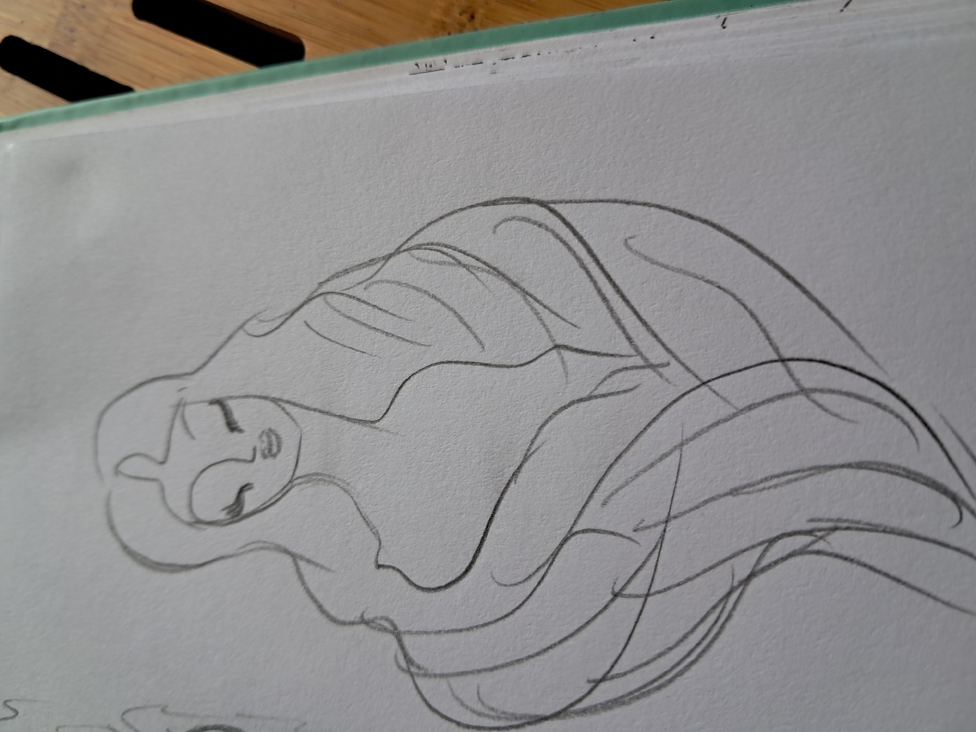 Artist creates 30 diverse sketches in 12-minute drawing session
