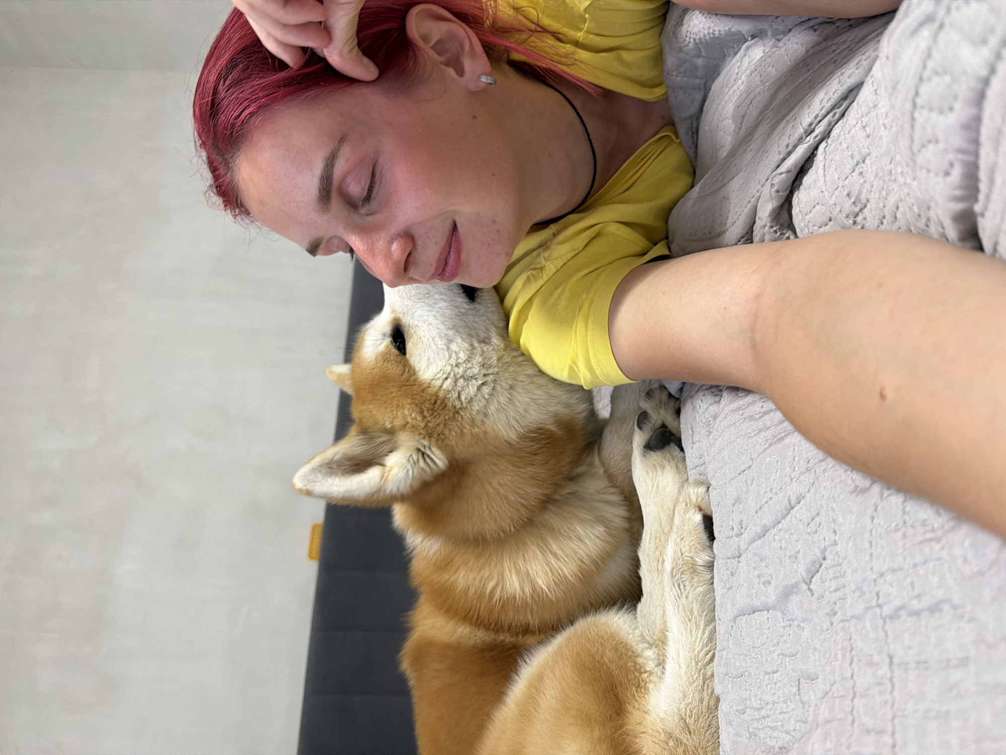Evening at home in Chaikovsky with an Akita and a sunset