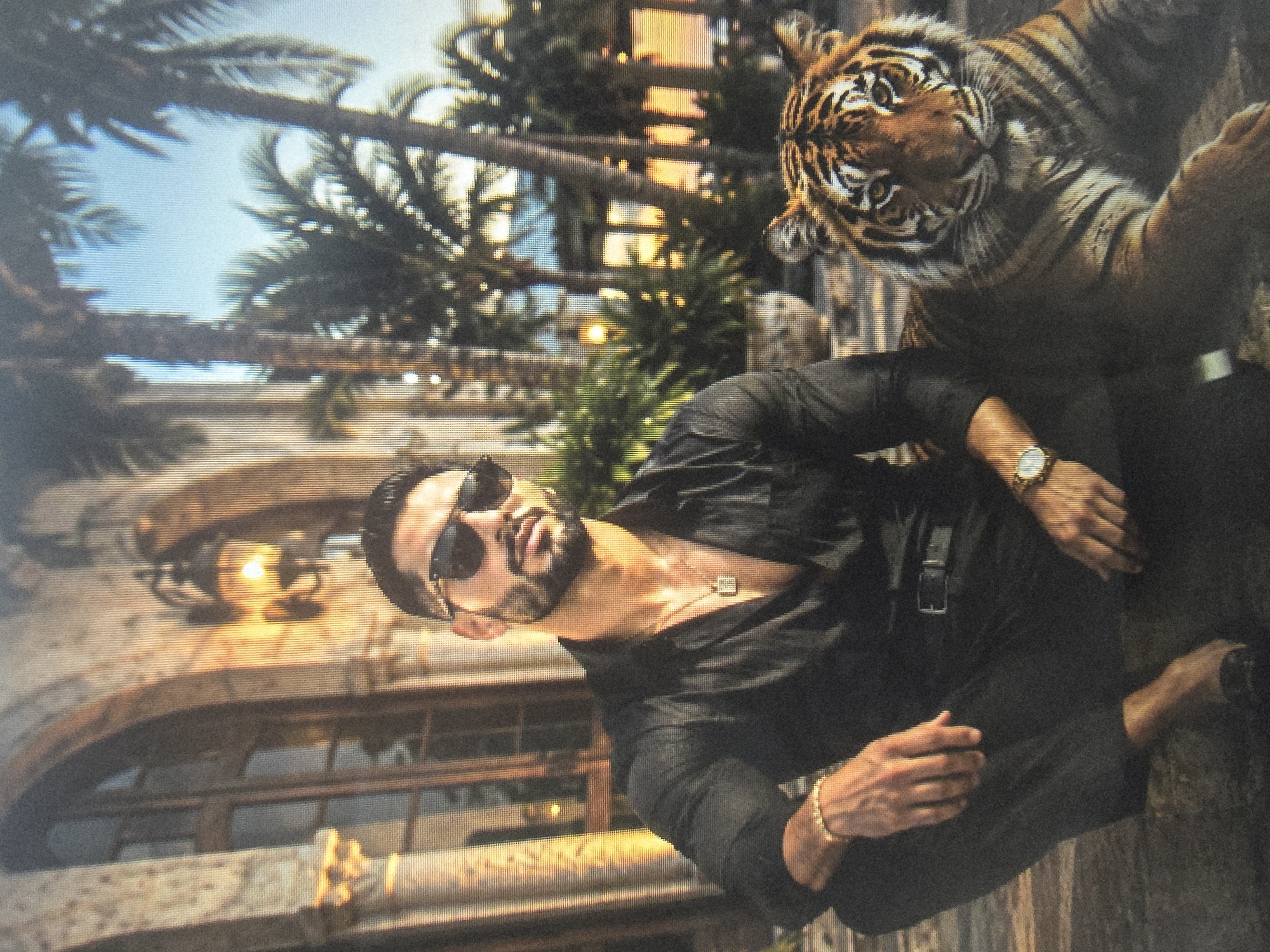 Up-close tiger encounters, including a Dubai yacht setting.