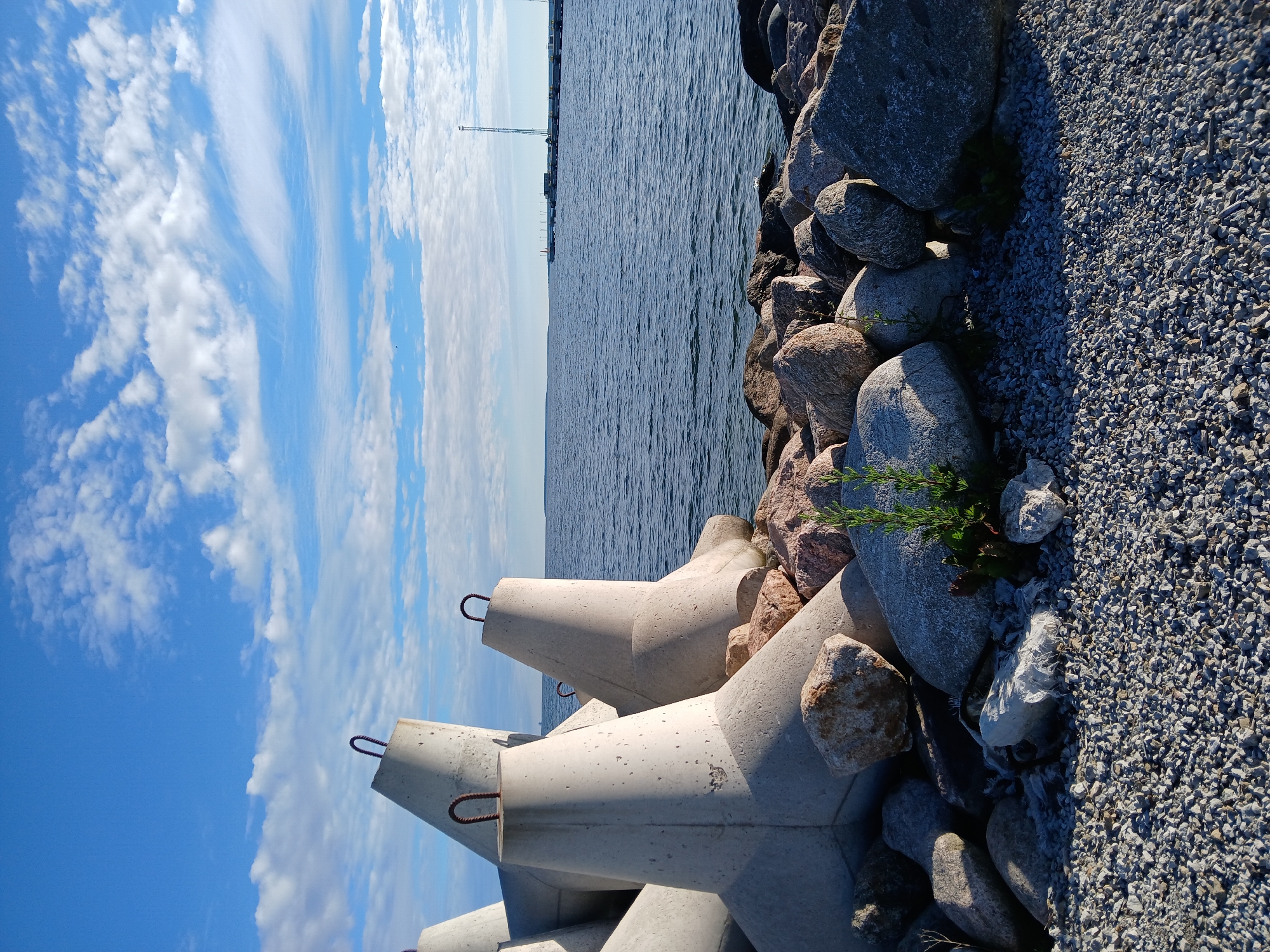 Tallinn's Baltic waterfront: shoreline, public art, and ferry terminal