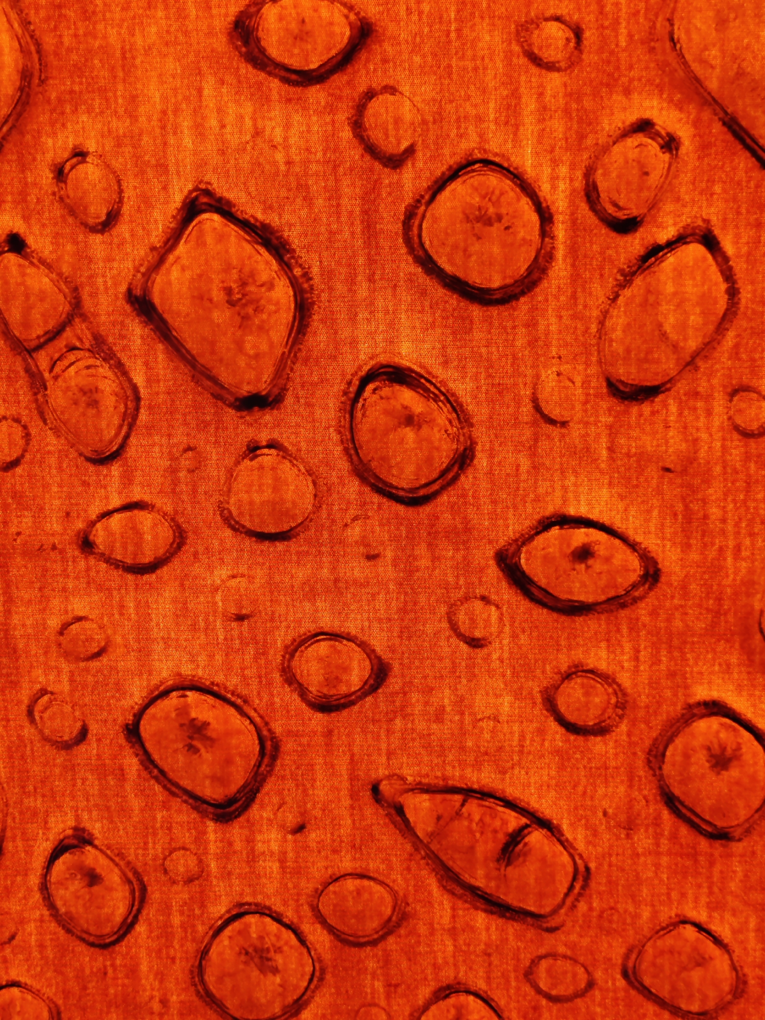 Abstract orange surface with dark shapes photographed in Finike