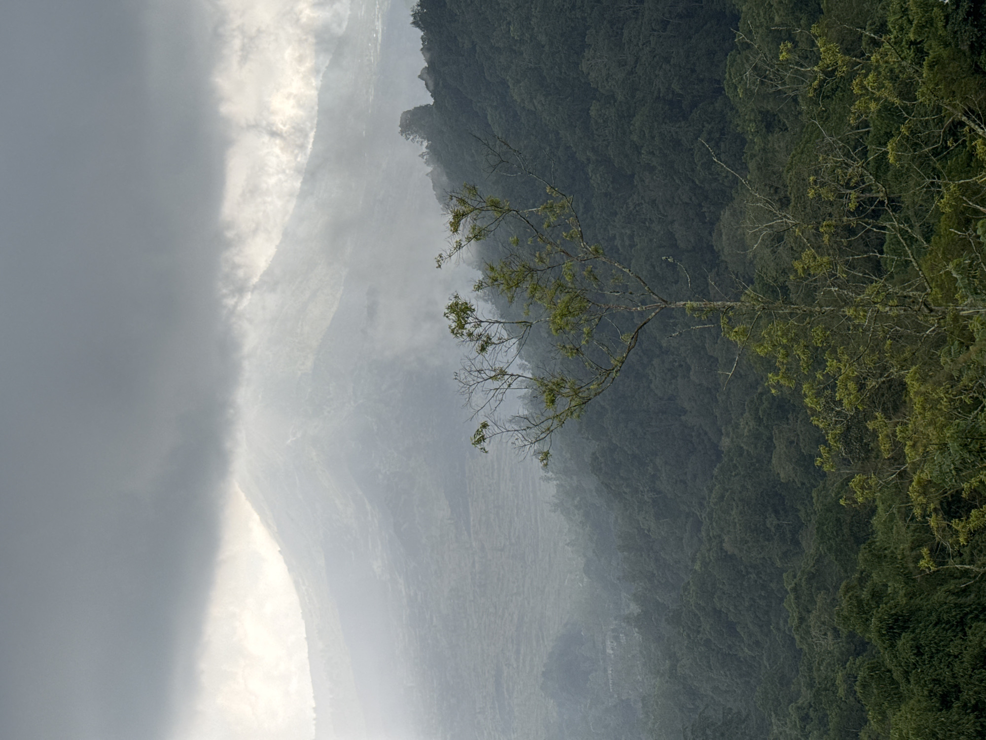 Morning landscape views documented in Kintamani highlands, Indonesia