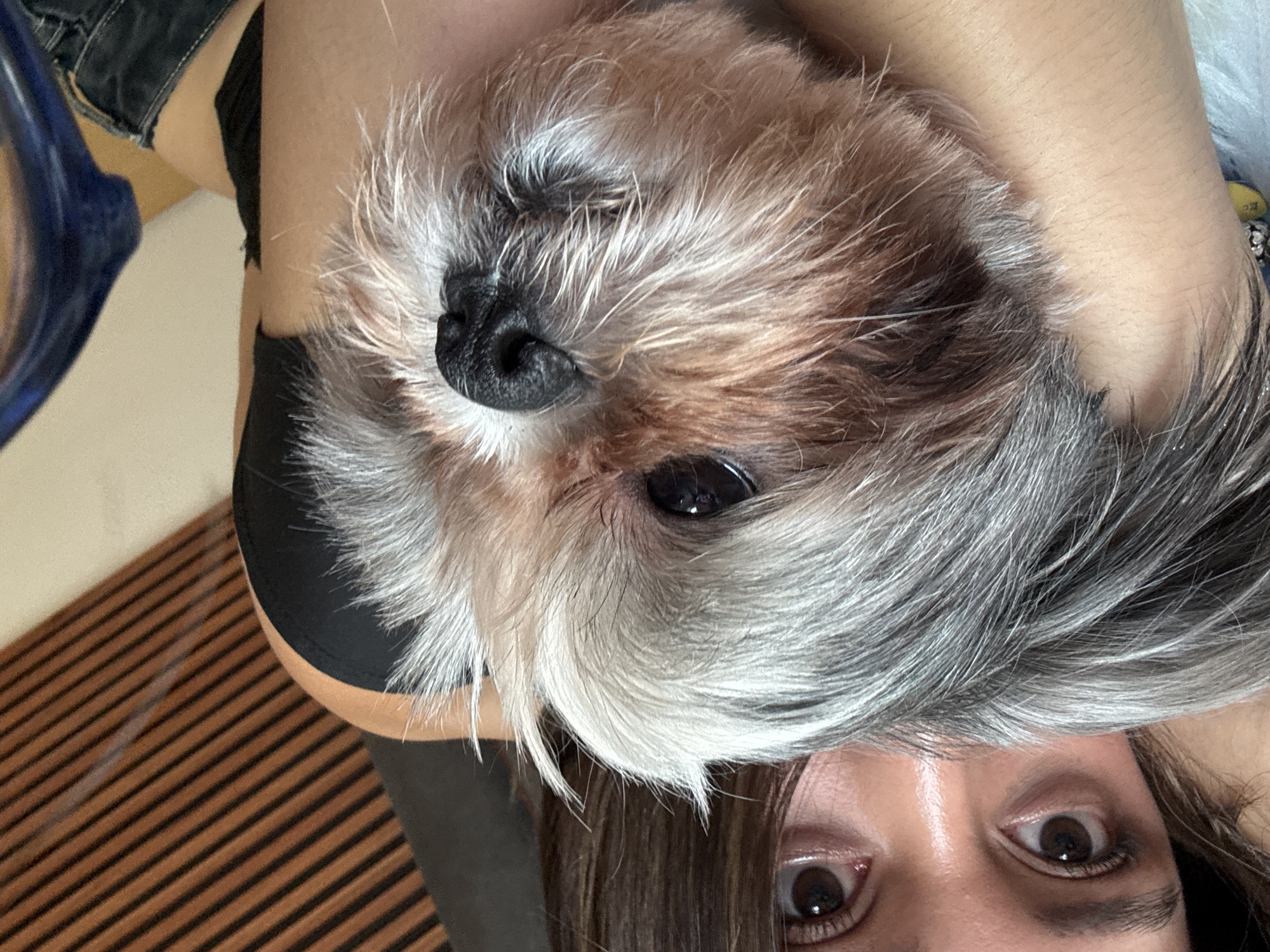 Woman poses with terrier mix dog in casual photos