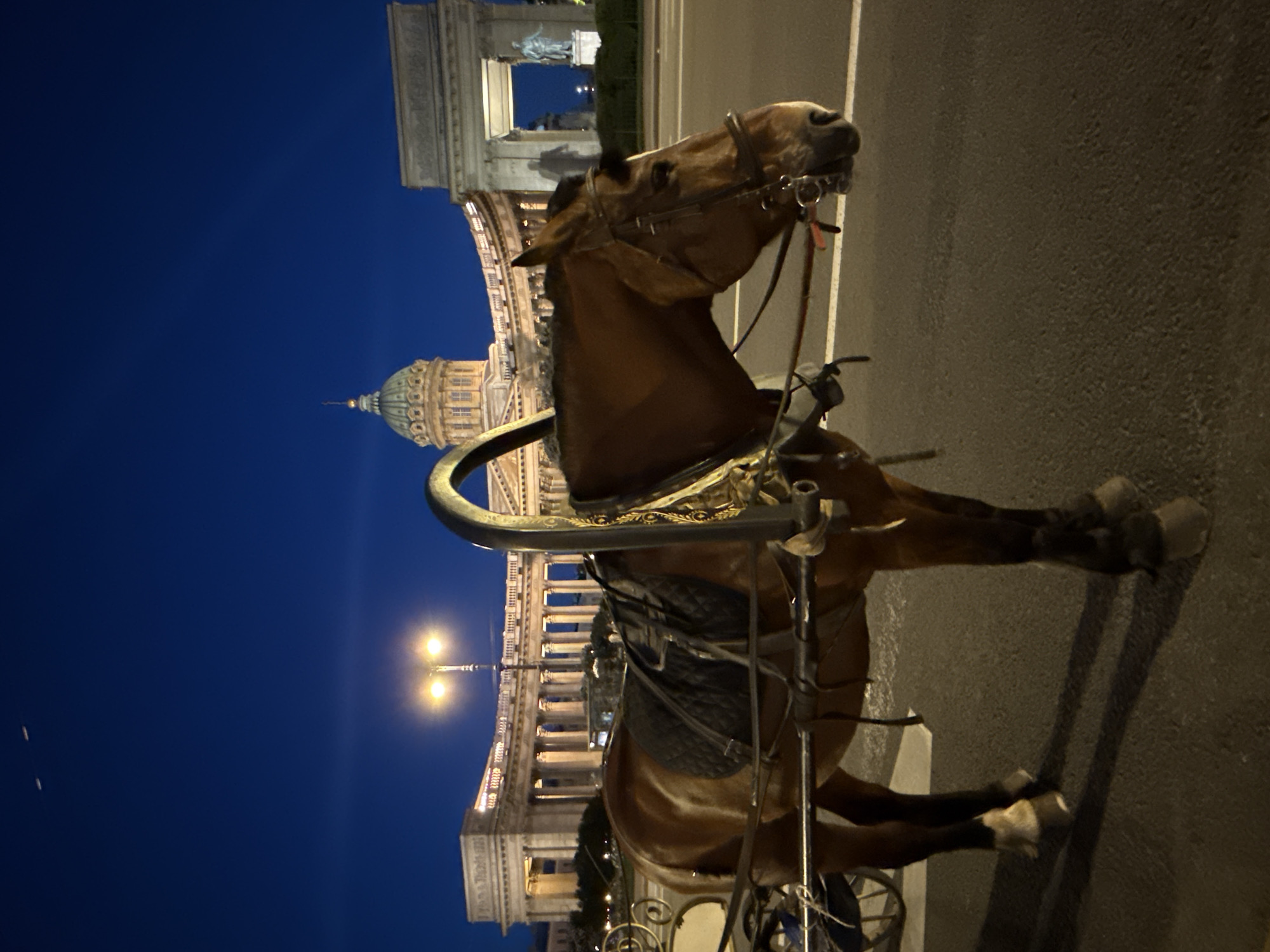 Horse-drawn carriage spotted on Saint Petersburg street at night