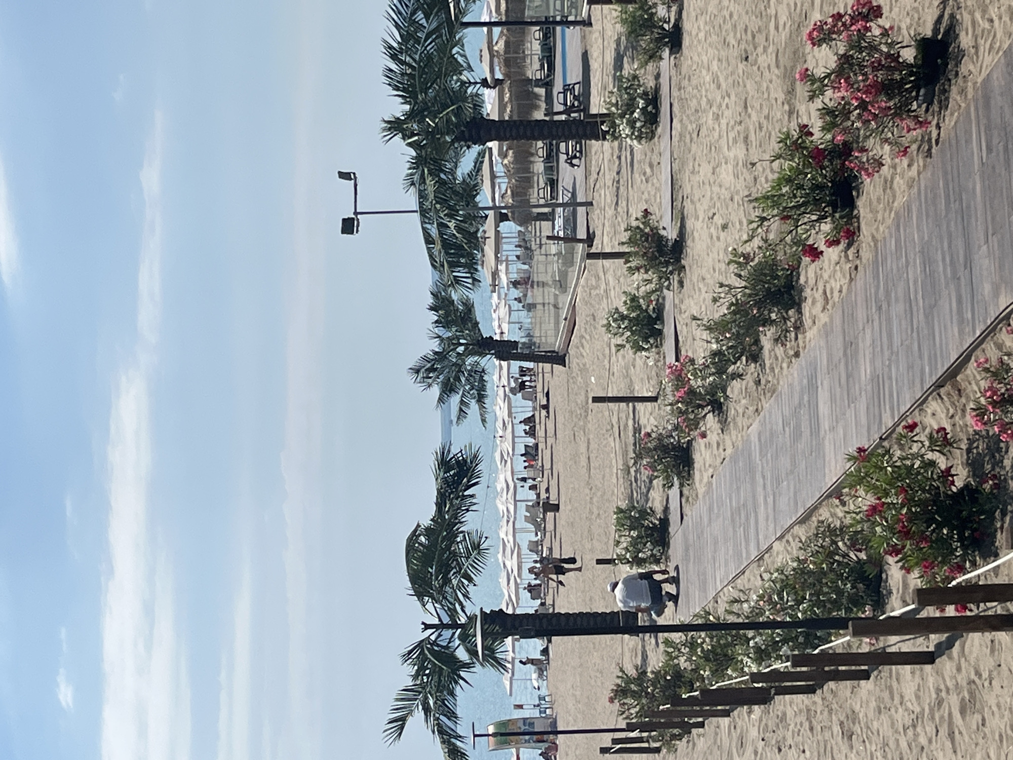 Burgas waterfront: busy beach, port activity, cargo ship docking