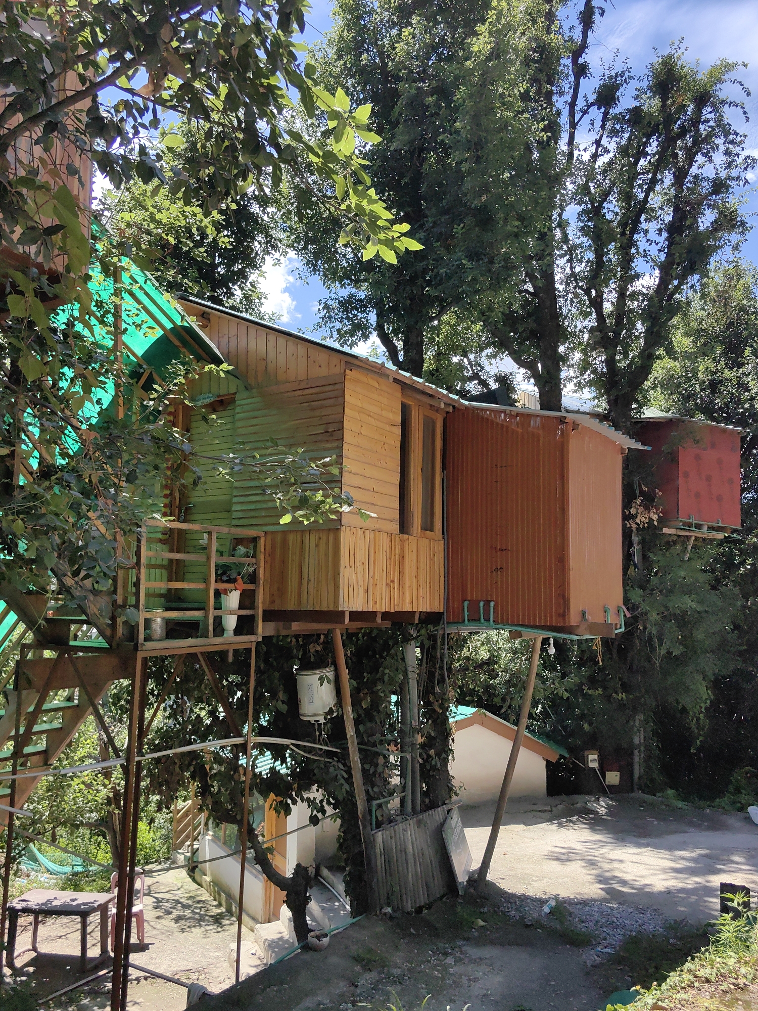 Treehouses, forest buildings, and mountain views in Chhyal, India