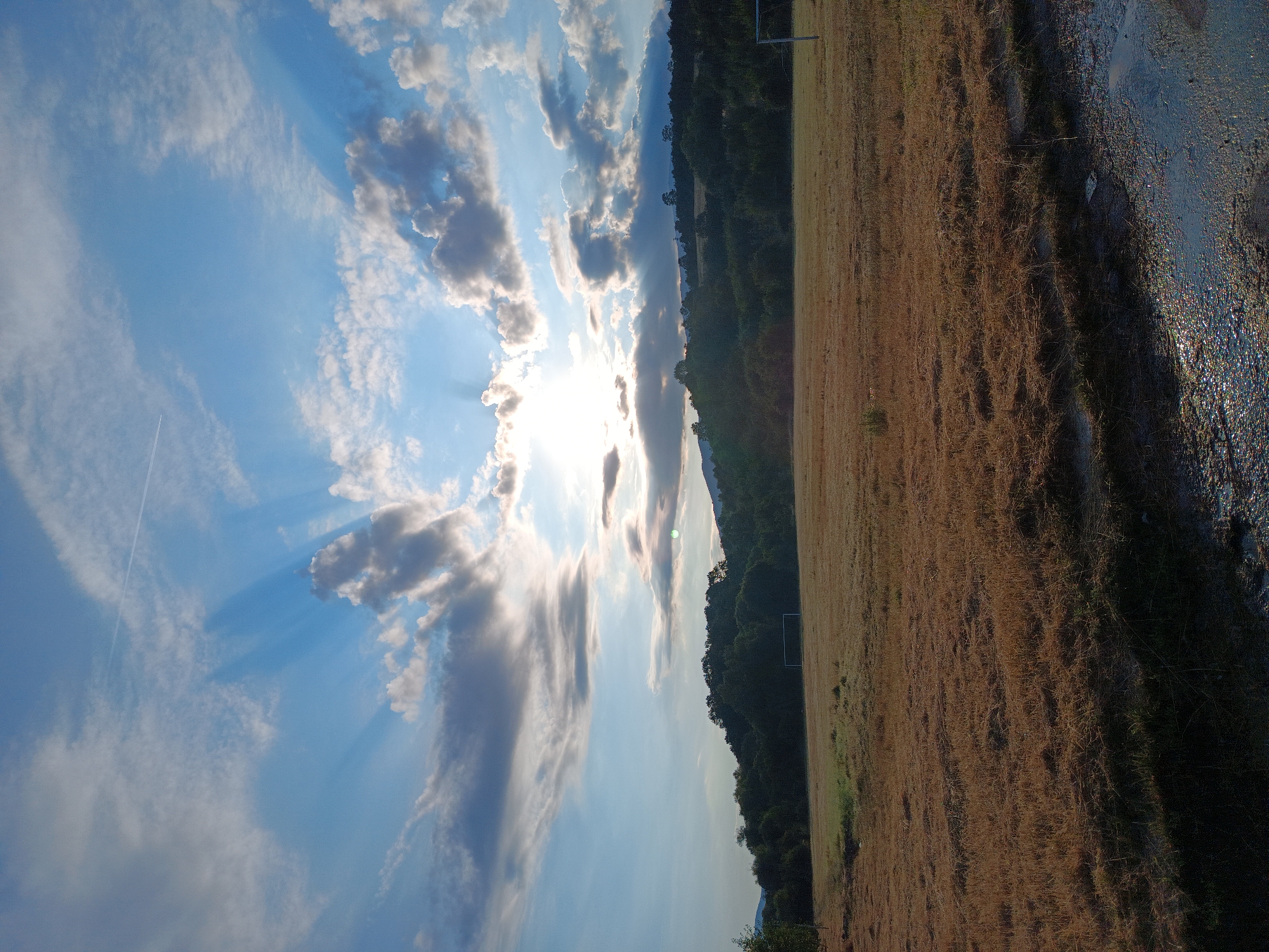 Stork nest and morning light over a Bulgarian village field