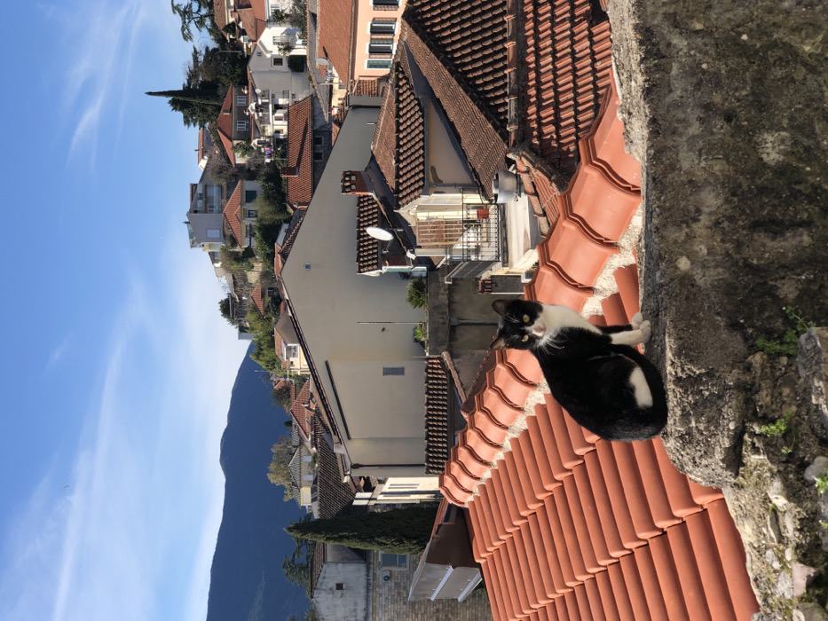 Midday life documented across historic Herceg Novi's streets and viewpoints
