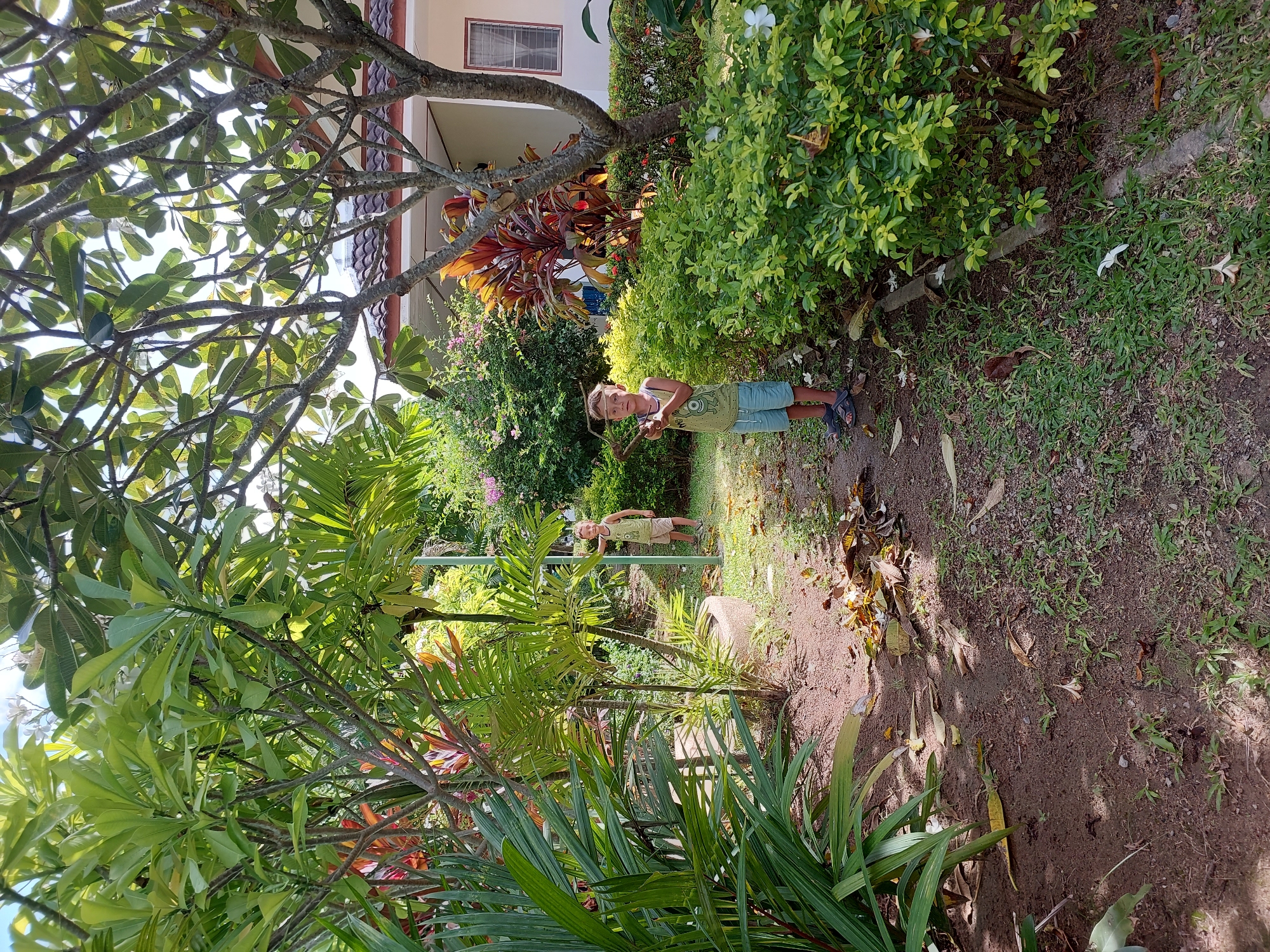 Pool and garden upkeep underway at a Ko Samui residence