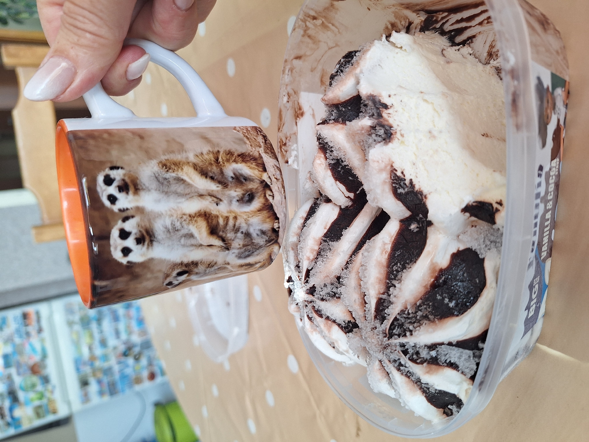 Person enjoys vanilla-chocolate swirl ice cream in Montana, Bulgaria