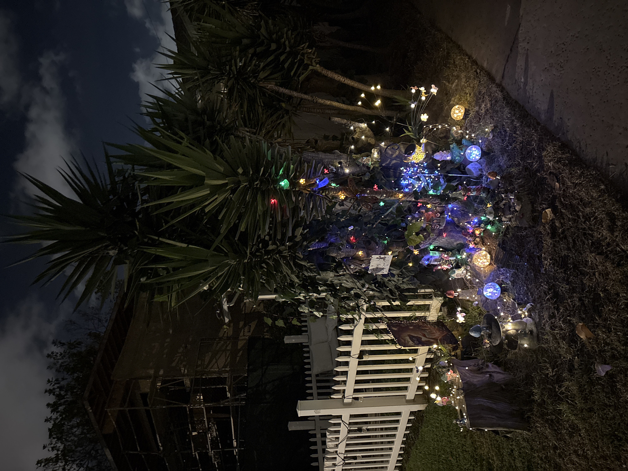 Nighttime decorative displays and lodge building documented in Coronado