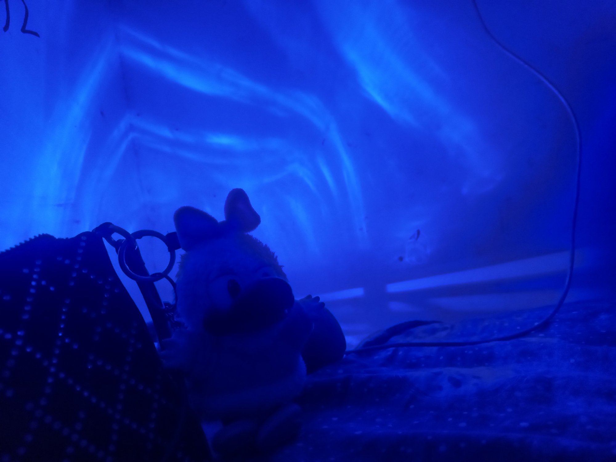 Blue light creates wave patterns in Spanish indoor space