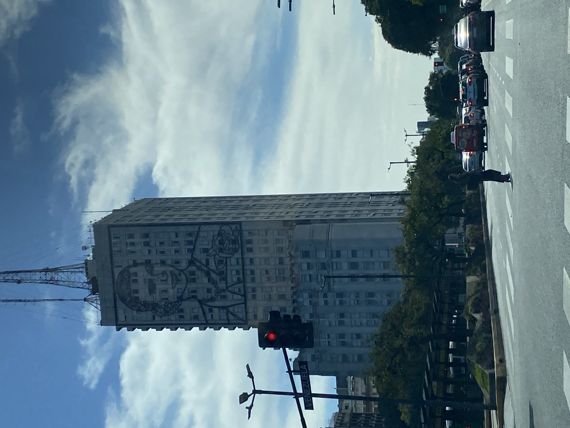 Street scenes documented in Buenos Aires featuring mural, trees
