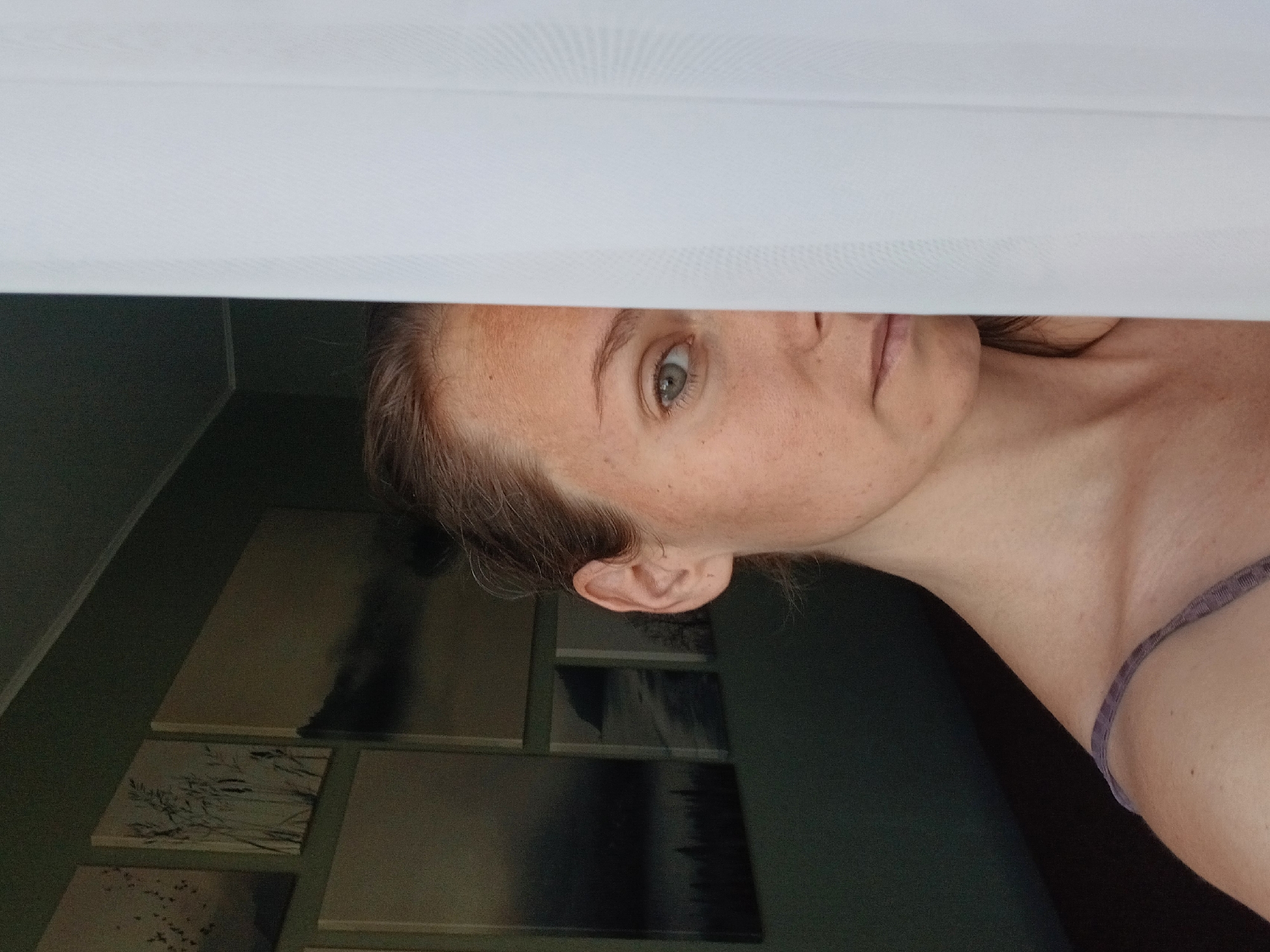 Quiet apartment afternoon: cat, curtains, and city views in Yekaterinburg