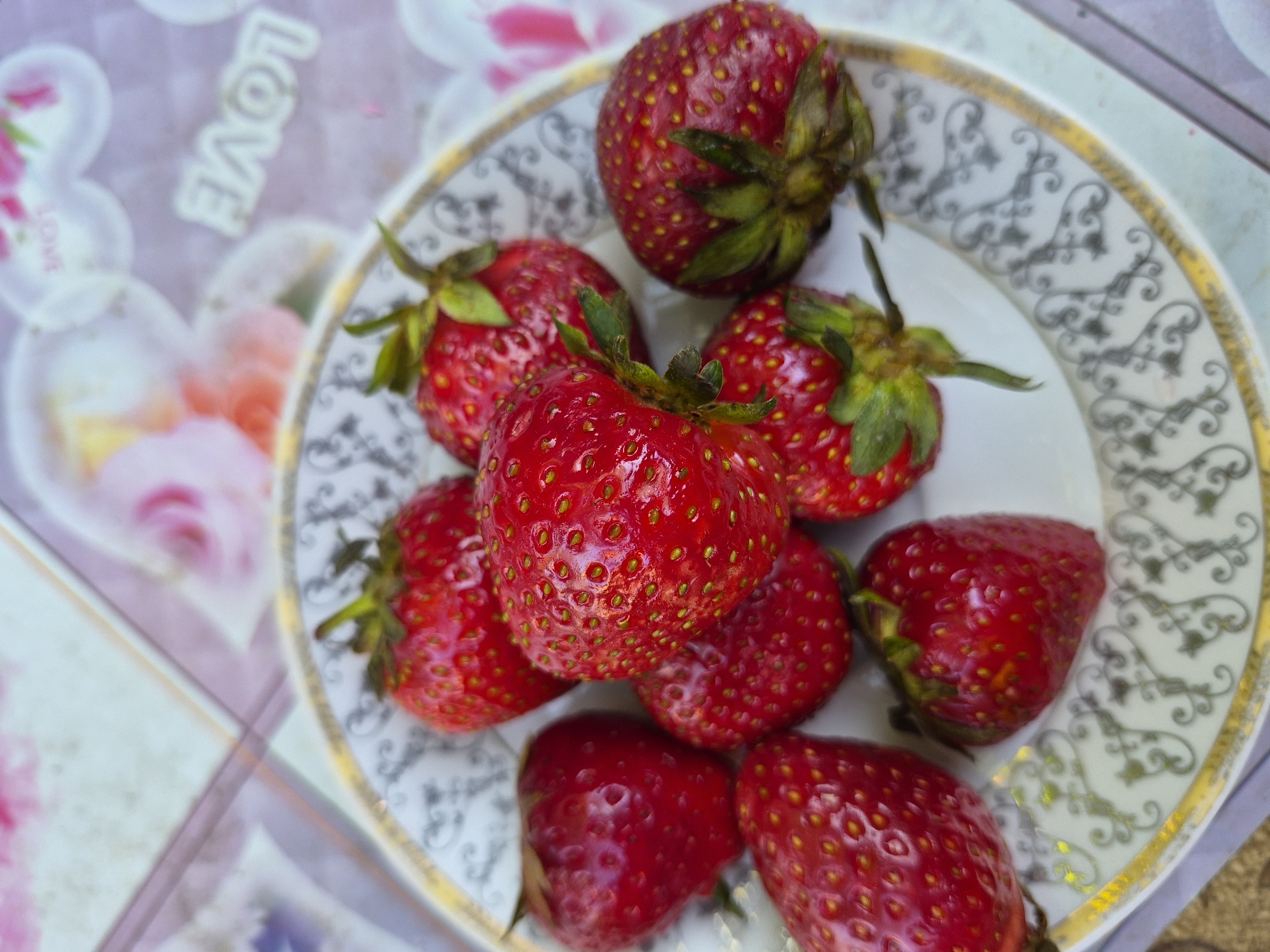 Garden blooms and fresh strawberries documented in detailed close-ups