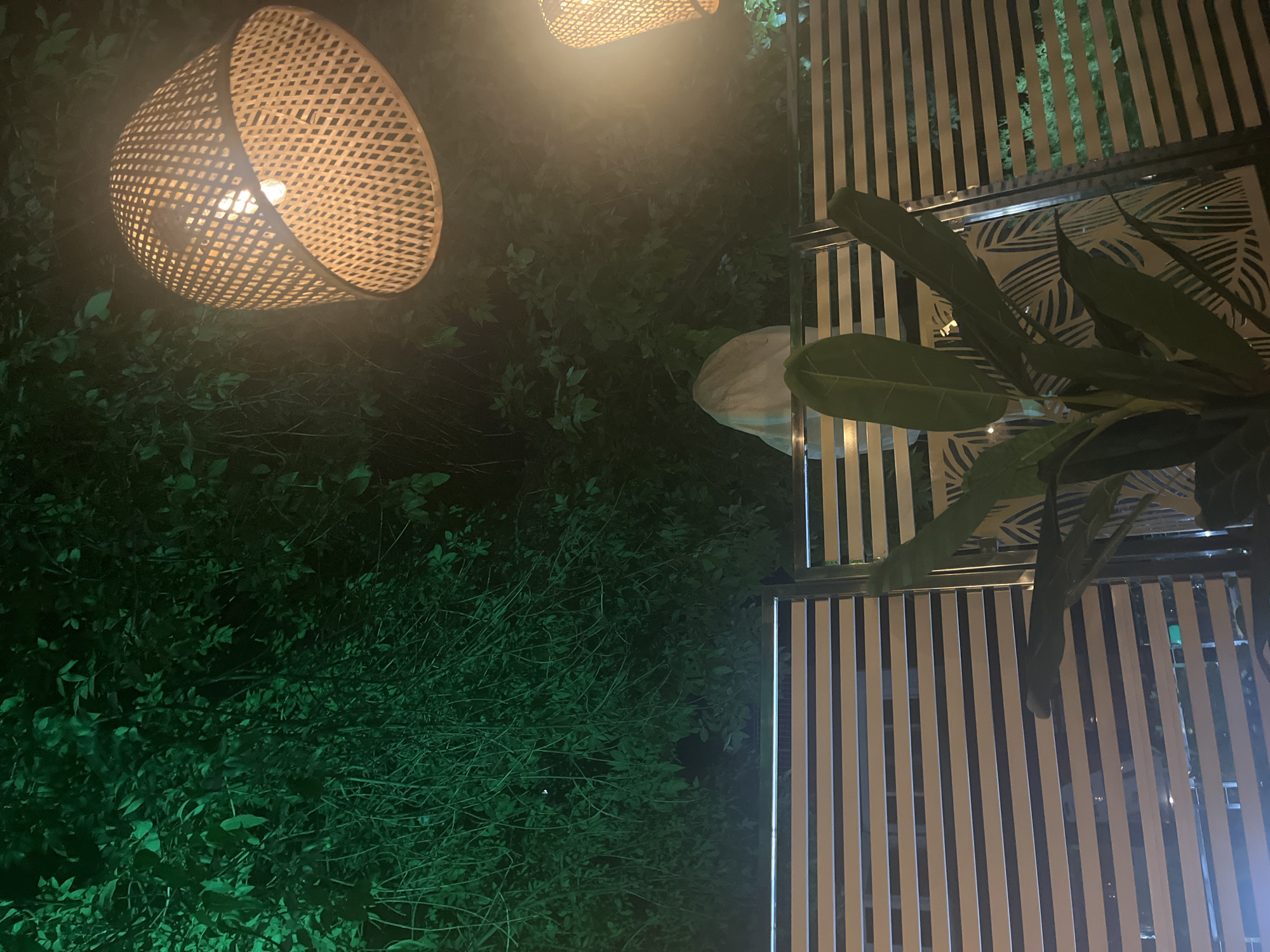 Nighttime patio scene with decorative lighting and greenery