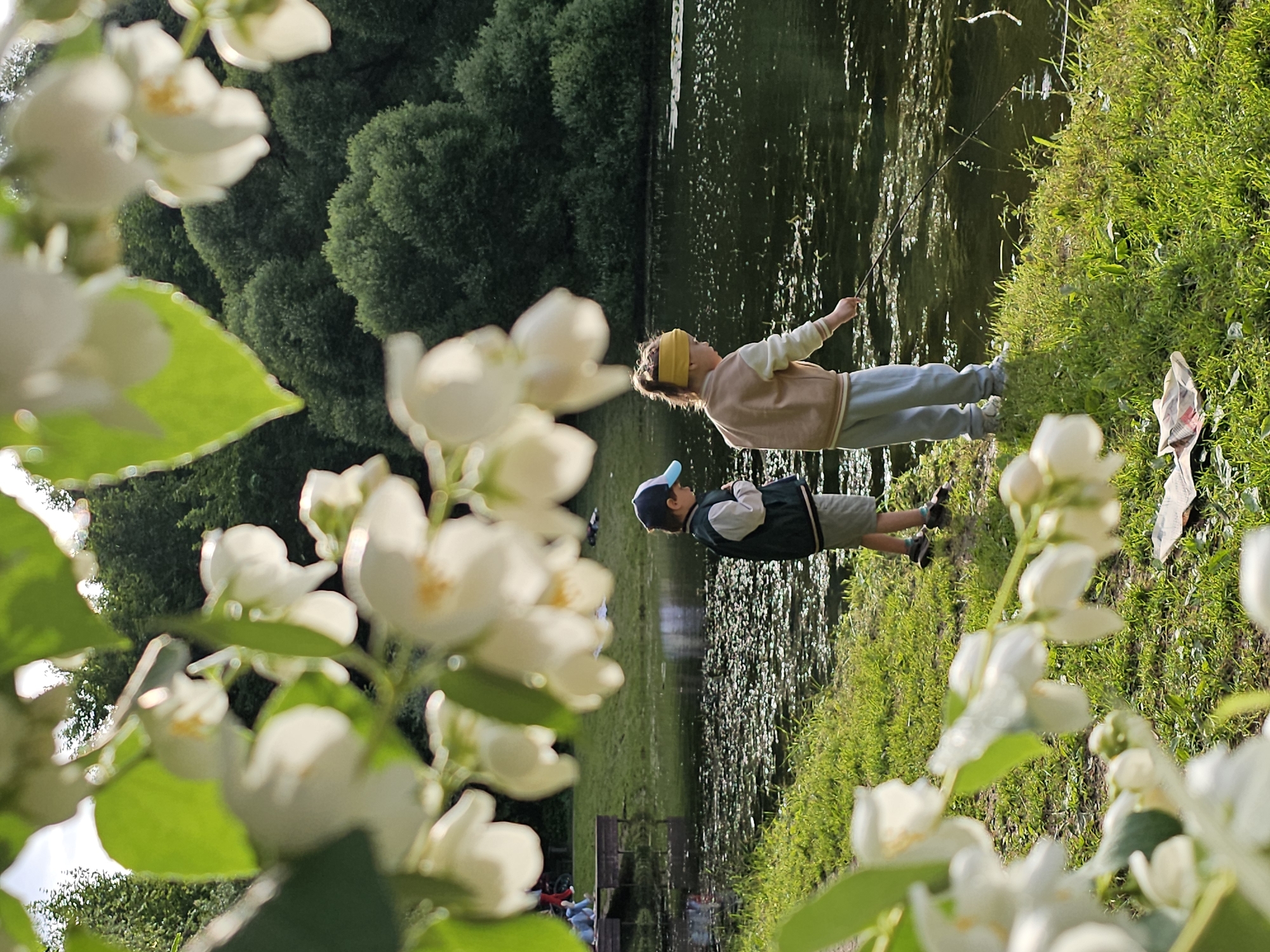 Lazy afternoon by a Moscow park lake in summer