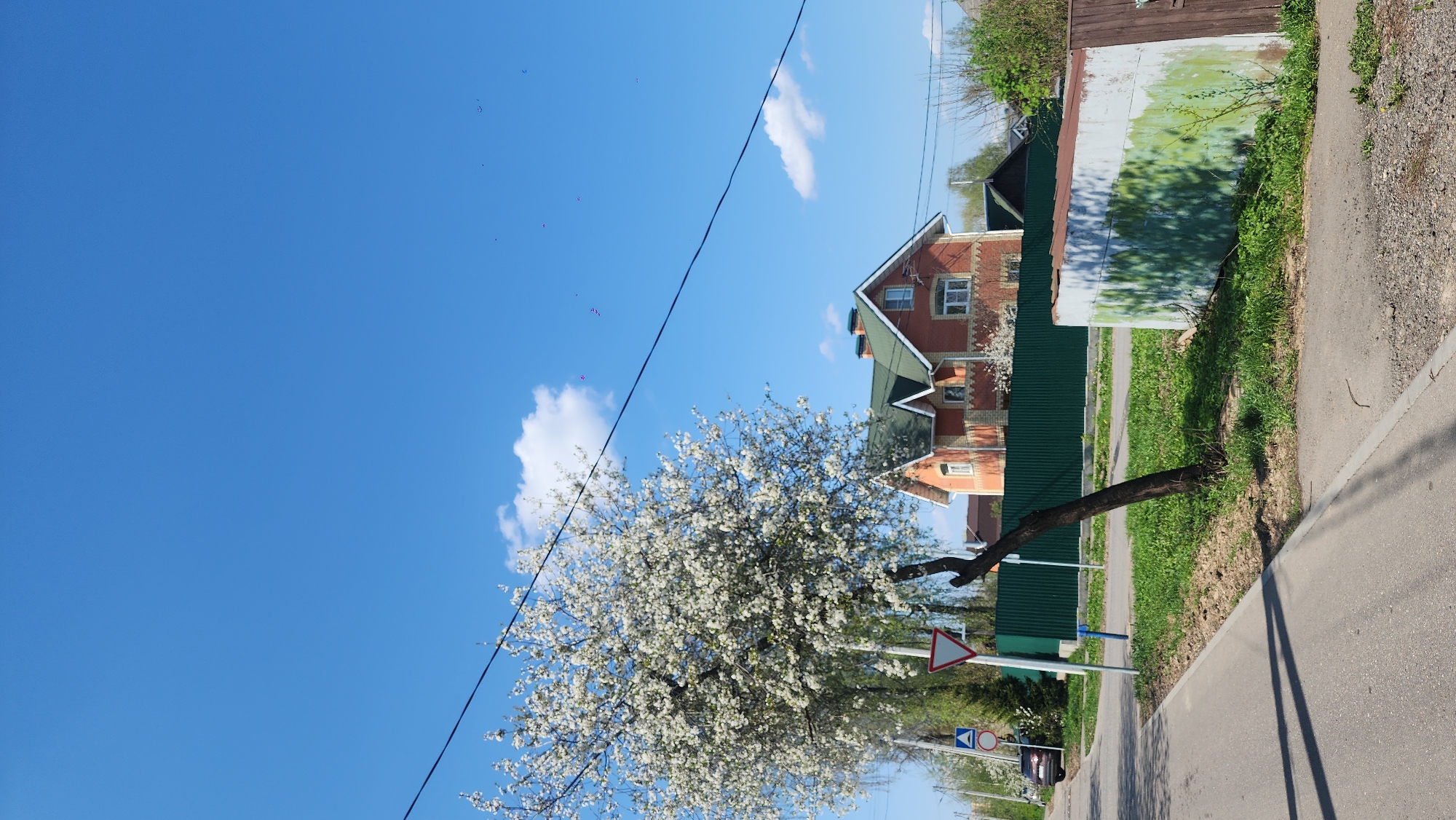 Spring blooms and wooden houses captured in Moscow neighborhood walk