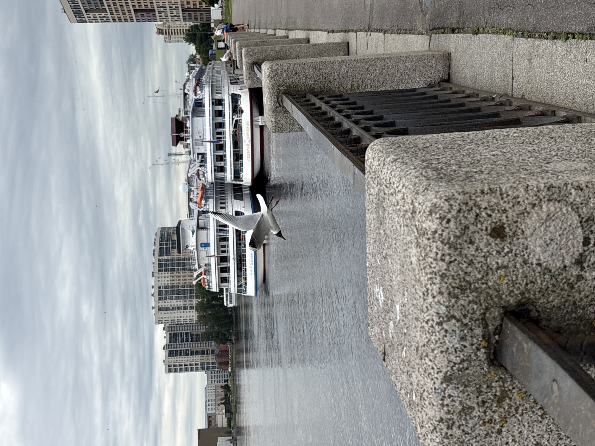 Cruise ships dock in Shushary as cyclist navigates waterfront