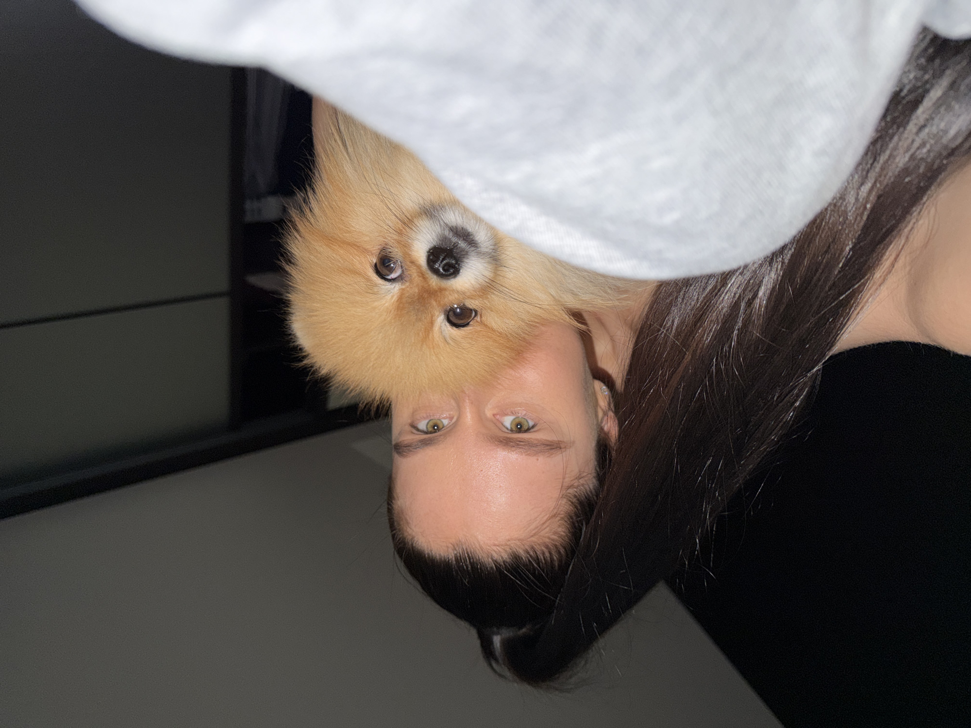Woman documents quiet evening with Pomeranian dog in Khimki