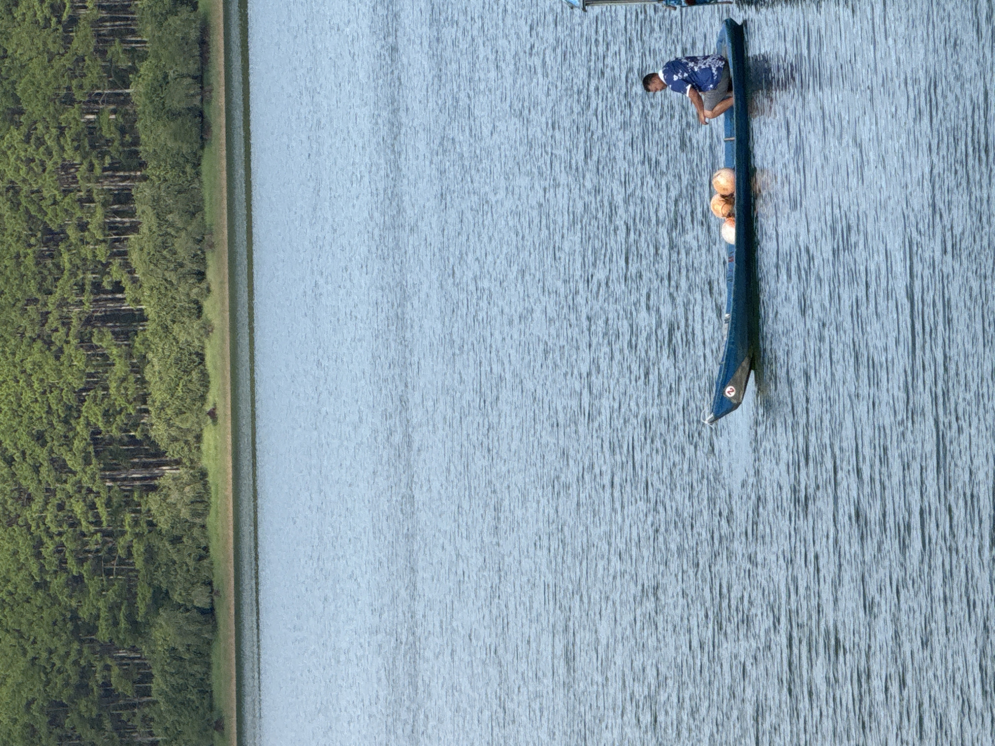 Da Lat temples, lakeside scenes, and flower gardens on a June morning