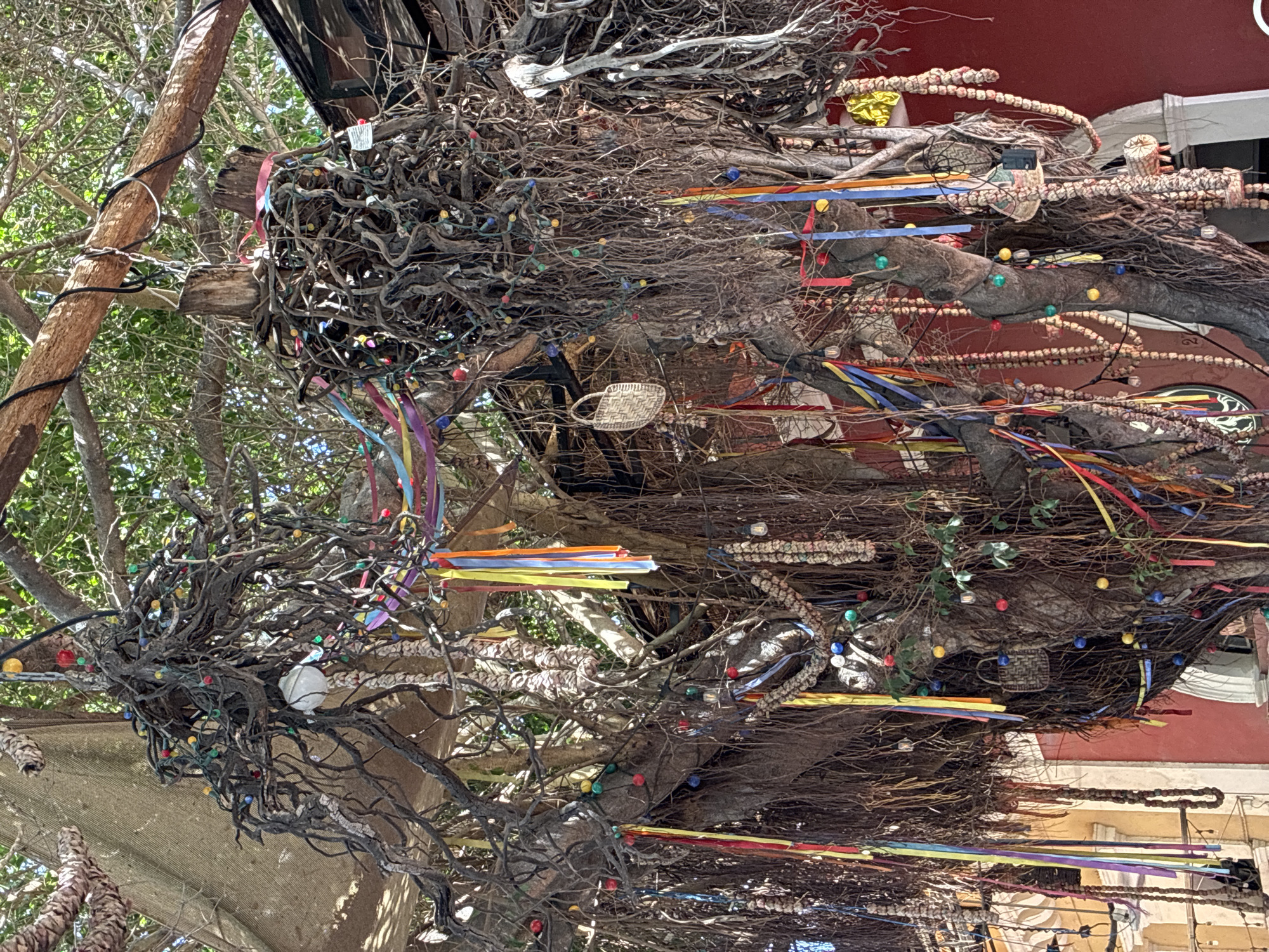 Decorated tree installation spotted in Mazatlán, Mexico