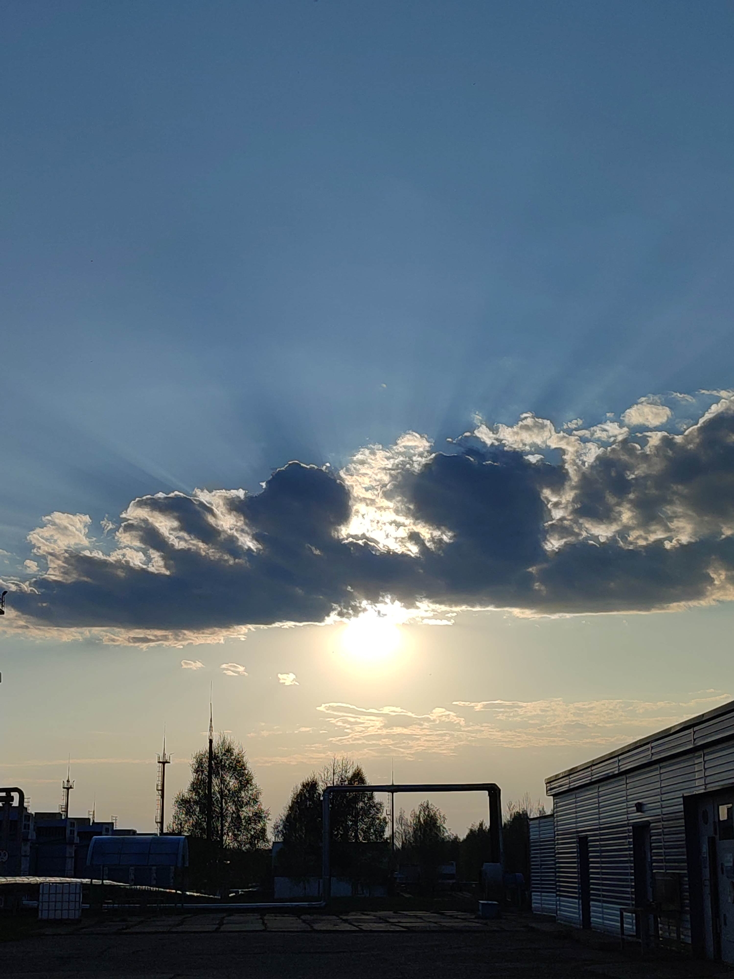 Urban cats and industrial sunset scenes documented