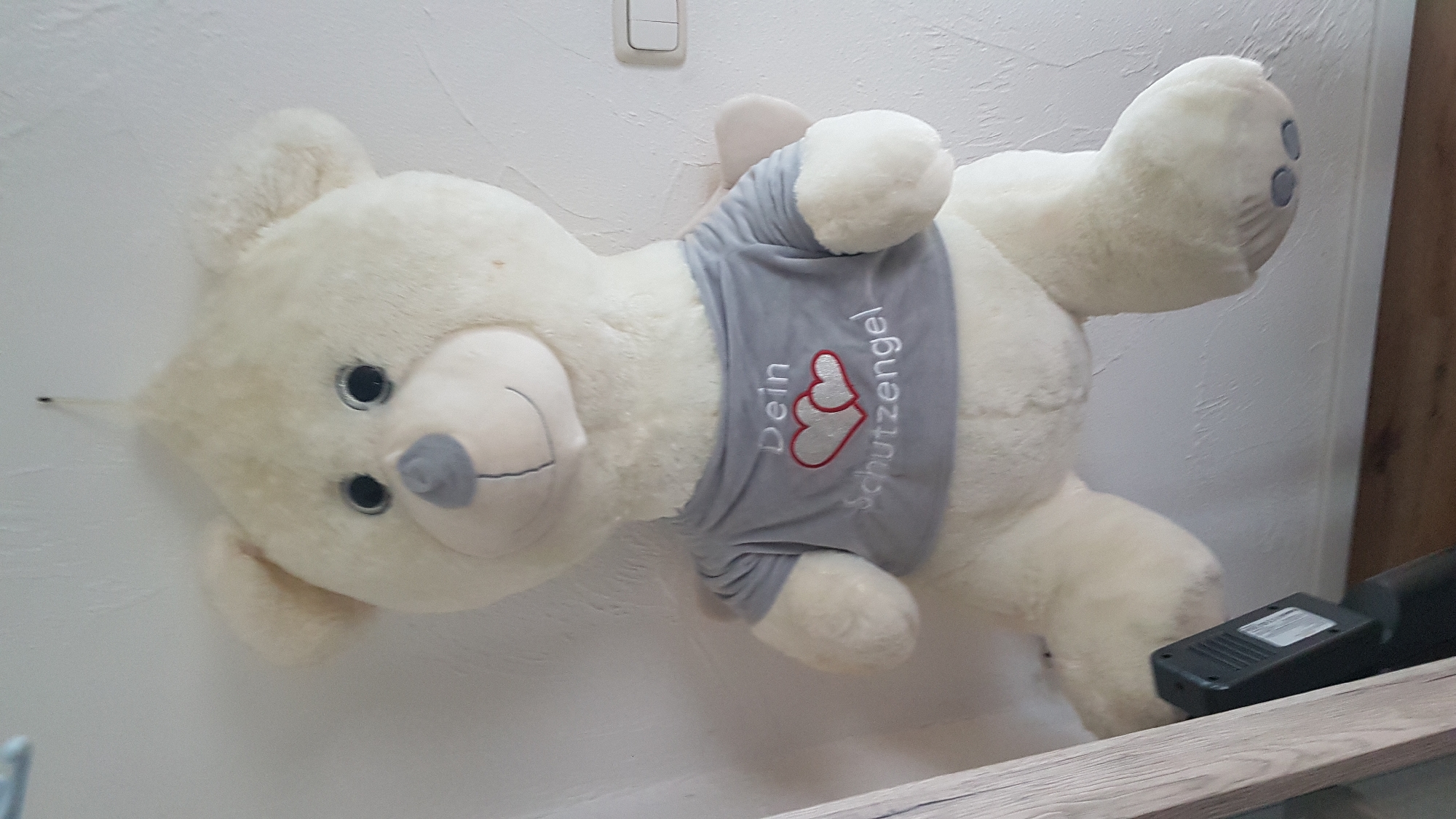 Guardian angel teddy bear spotted indoors in German town