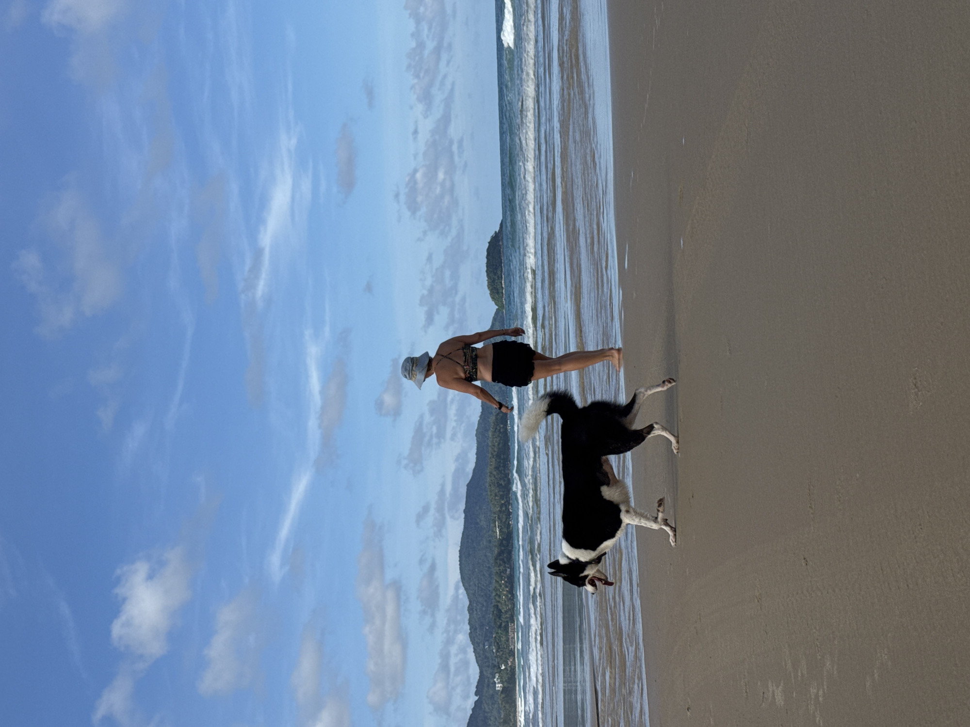 Dogs and beachgoers enjoy a morning at Karon Beach