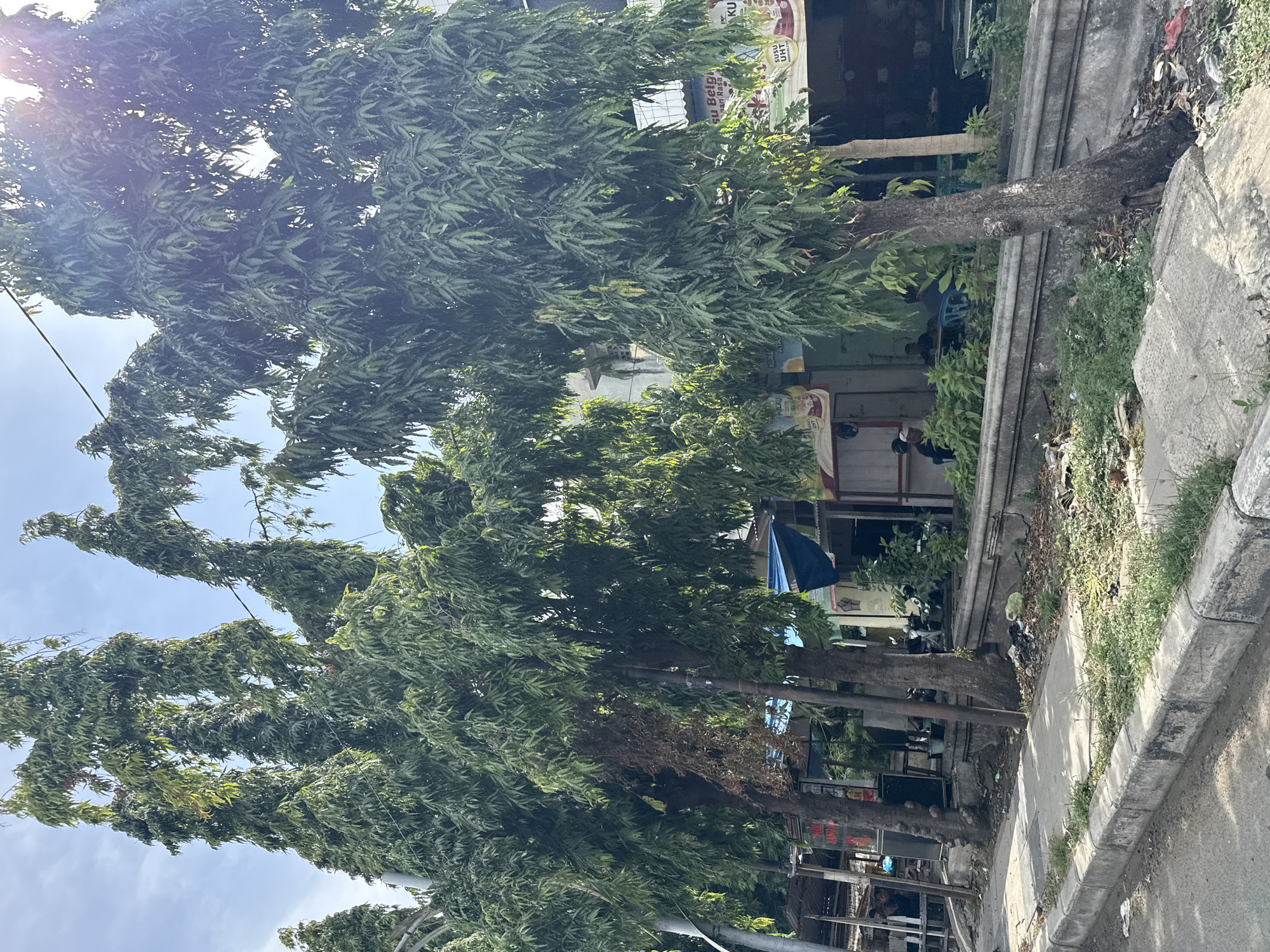 Morning snapshots of daily life in Lhokseumawe, Indonesia