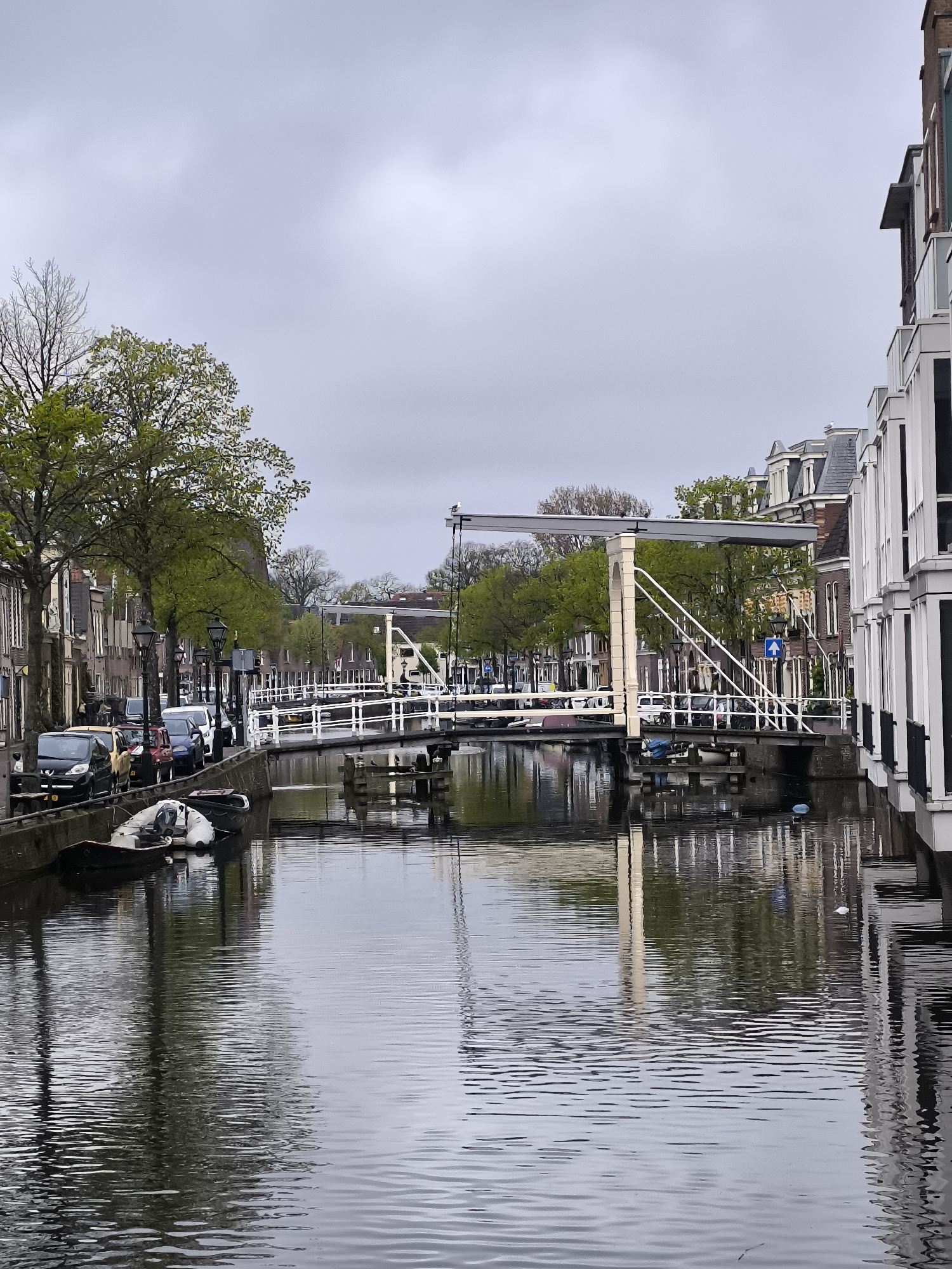 Egyptian goose spotted on canal buoy near Alkmaar drawbridge